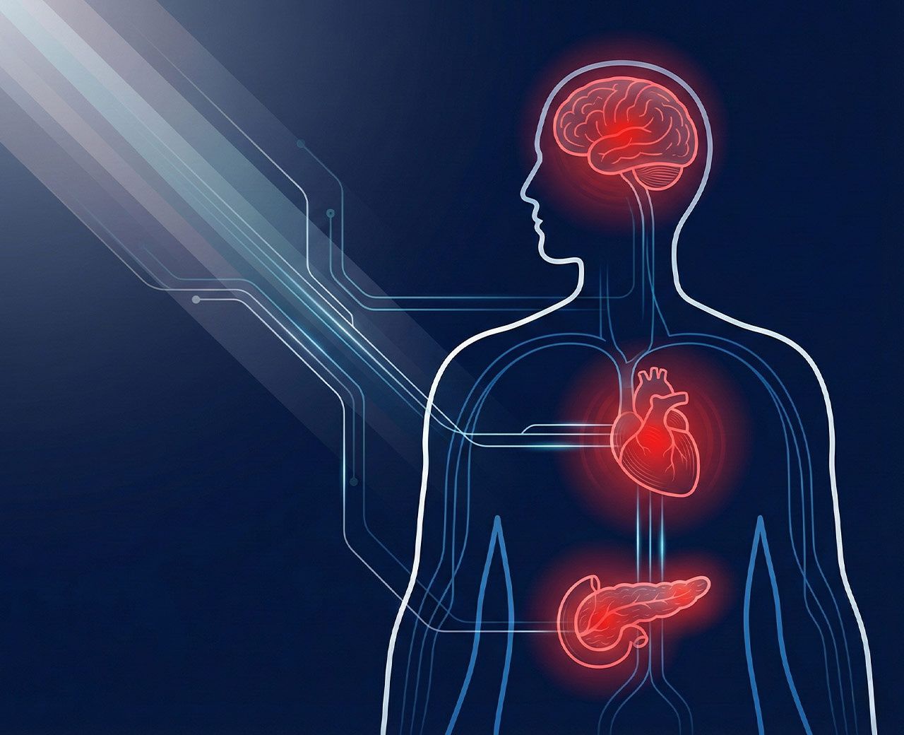 Medical illustration showing how nighttime light exposure affects the brain, heart and pancreas with highlighted risk areas