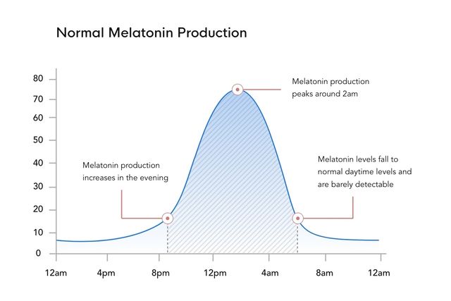 Graph showing normal melatonin production cycle over 24 hours, with levels rising around 8pm, peaking at approximately 2am, and falling to barely detectable daytime levels by 8amTo run code, enable code execution and file creation in Settings > Capabilities.