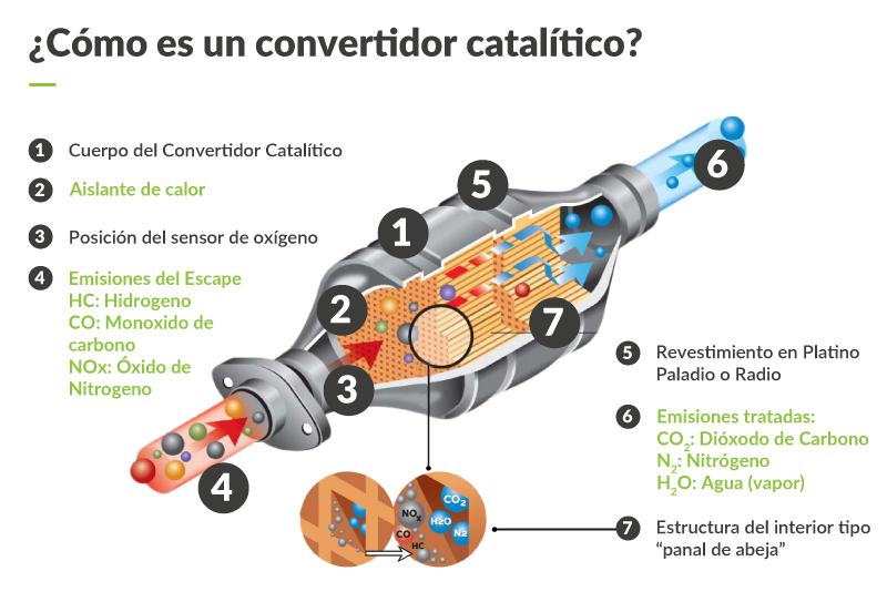 cCatalitico.webp