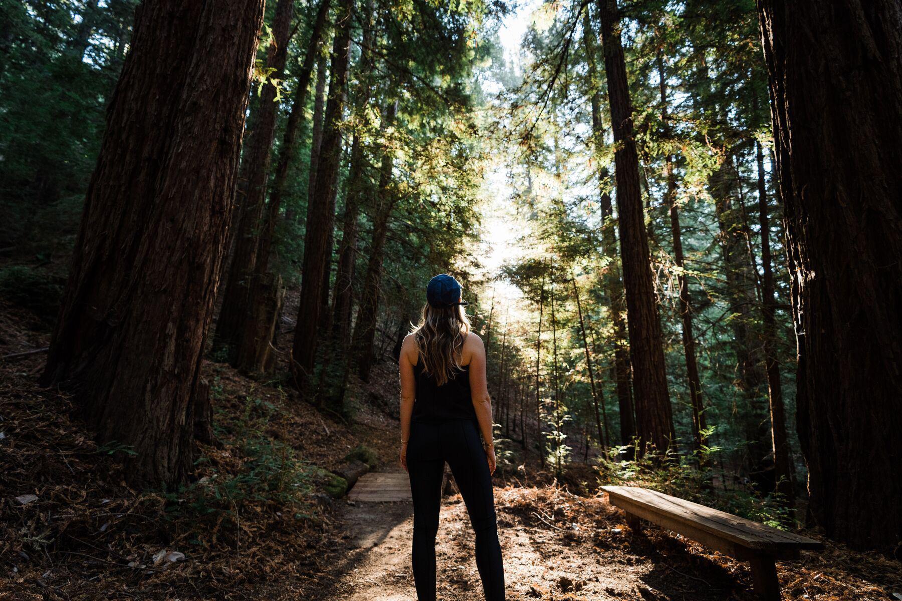 A woman standing on a hiking trail at Canyon Ranch Health Spa Resort in the Northern California's Redwood Forest.