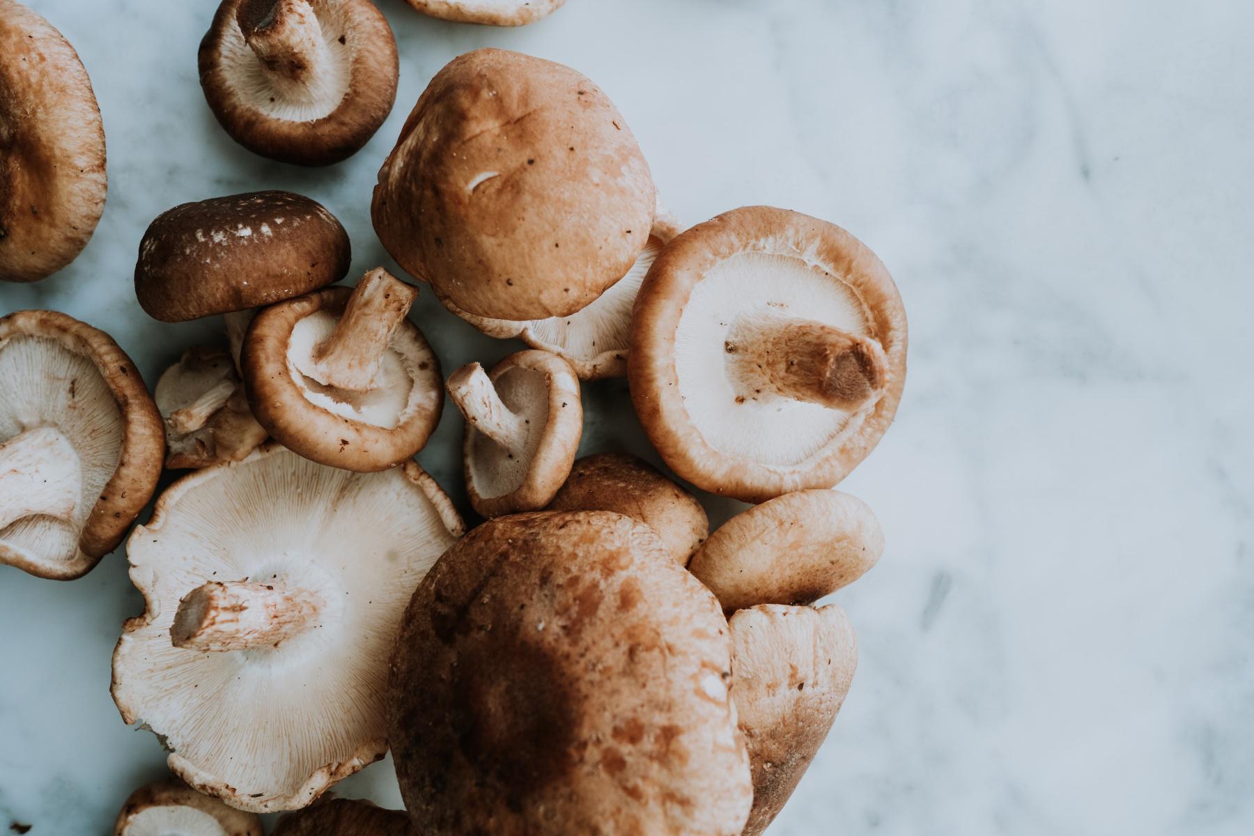 close-up of mushrooms