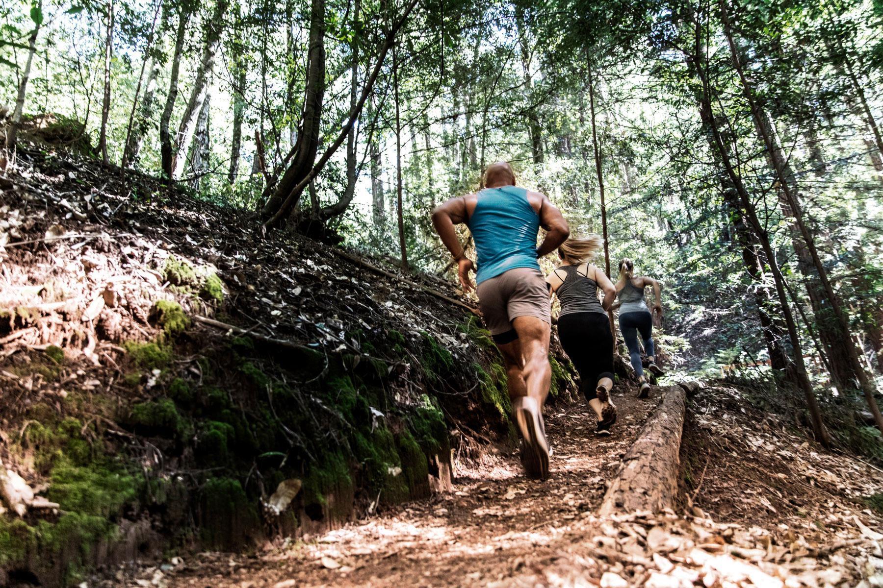 group of three people running on a trail in the woods