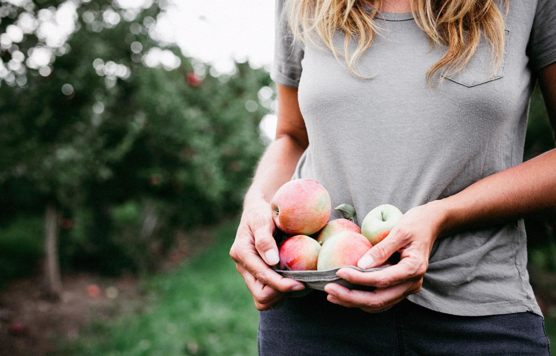 woman holding several apples in the bottom of her grey shirt