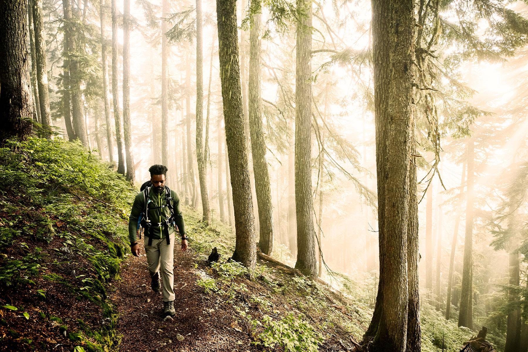 Man hiking on trail in woods with light shining through trees.