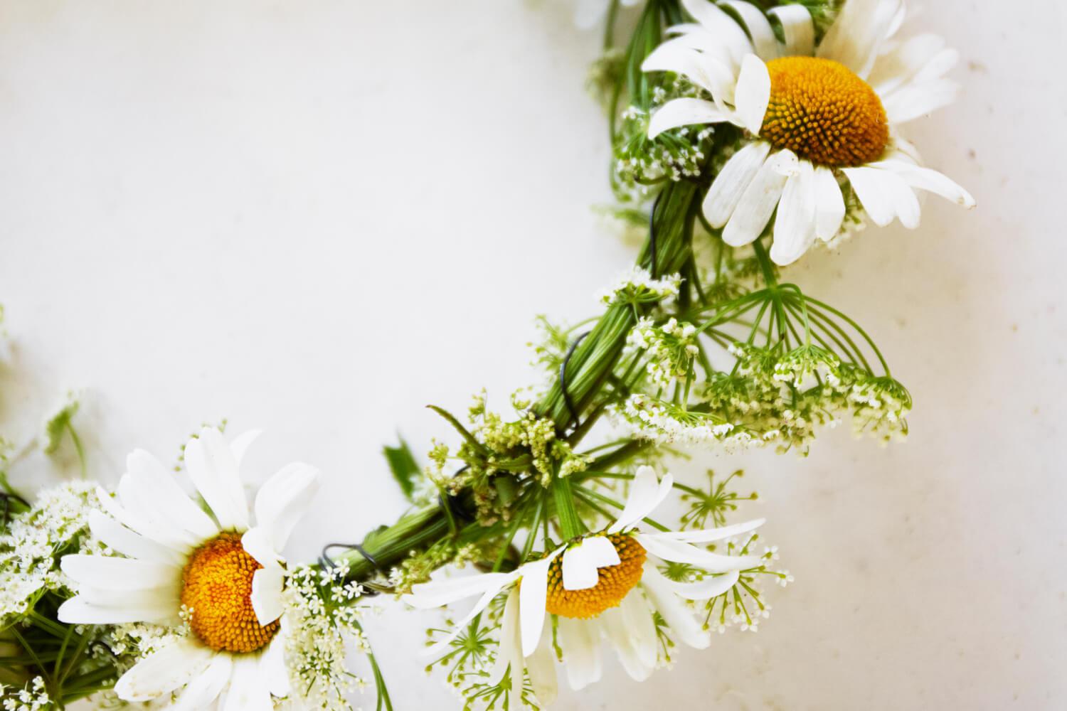 a crown of daisies