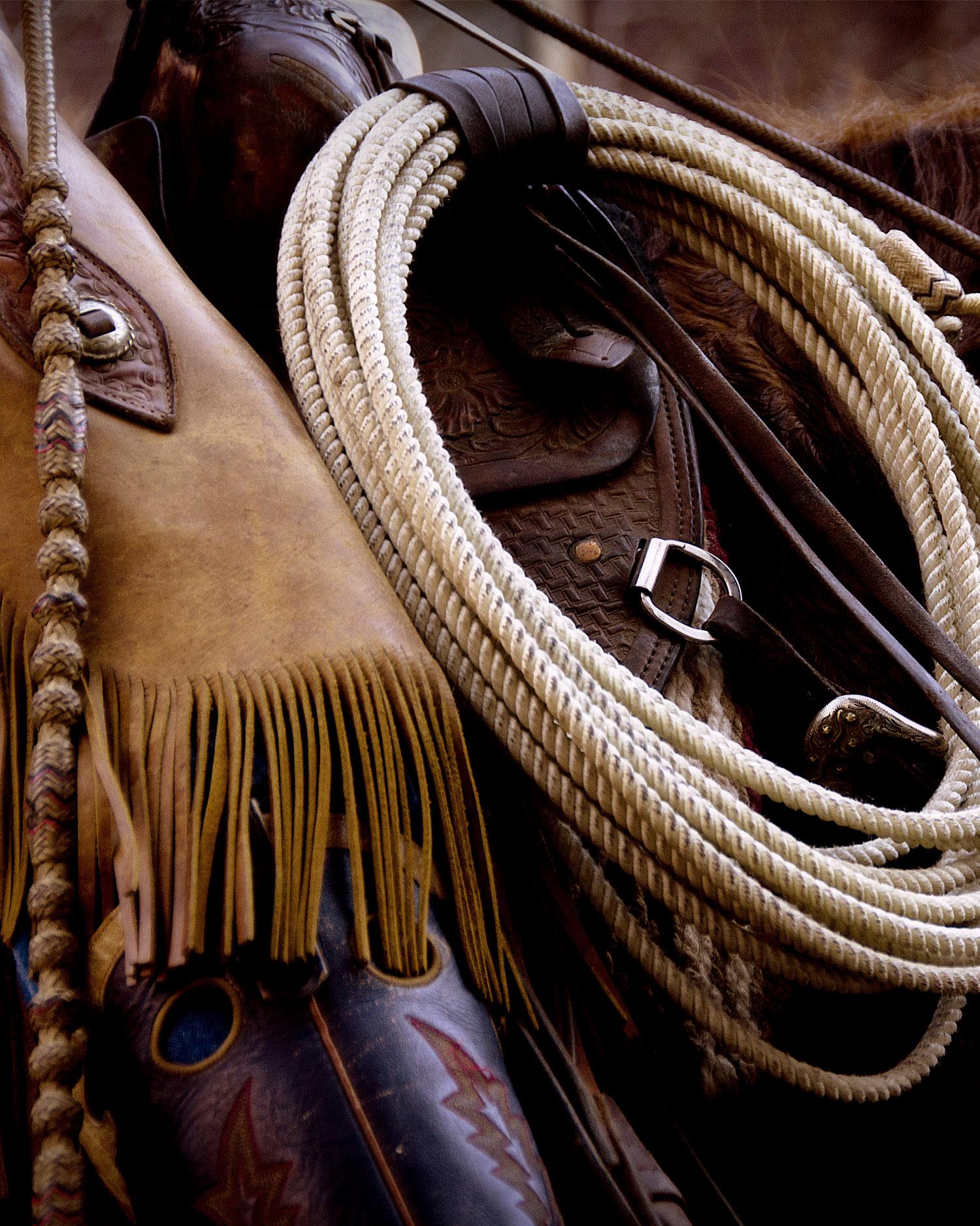Close-up of saddle on horse.