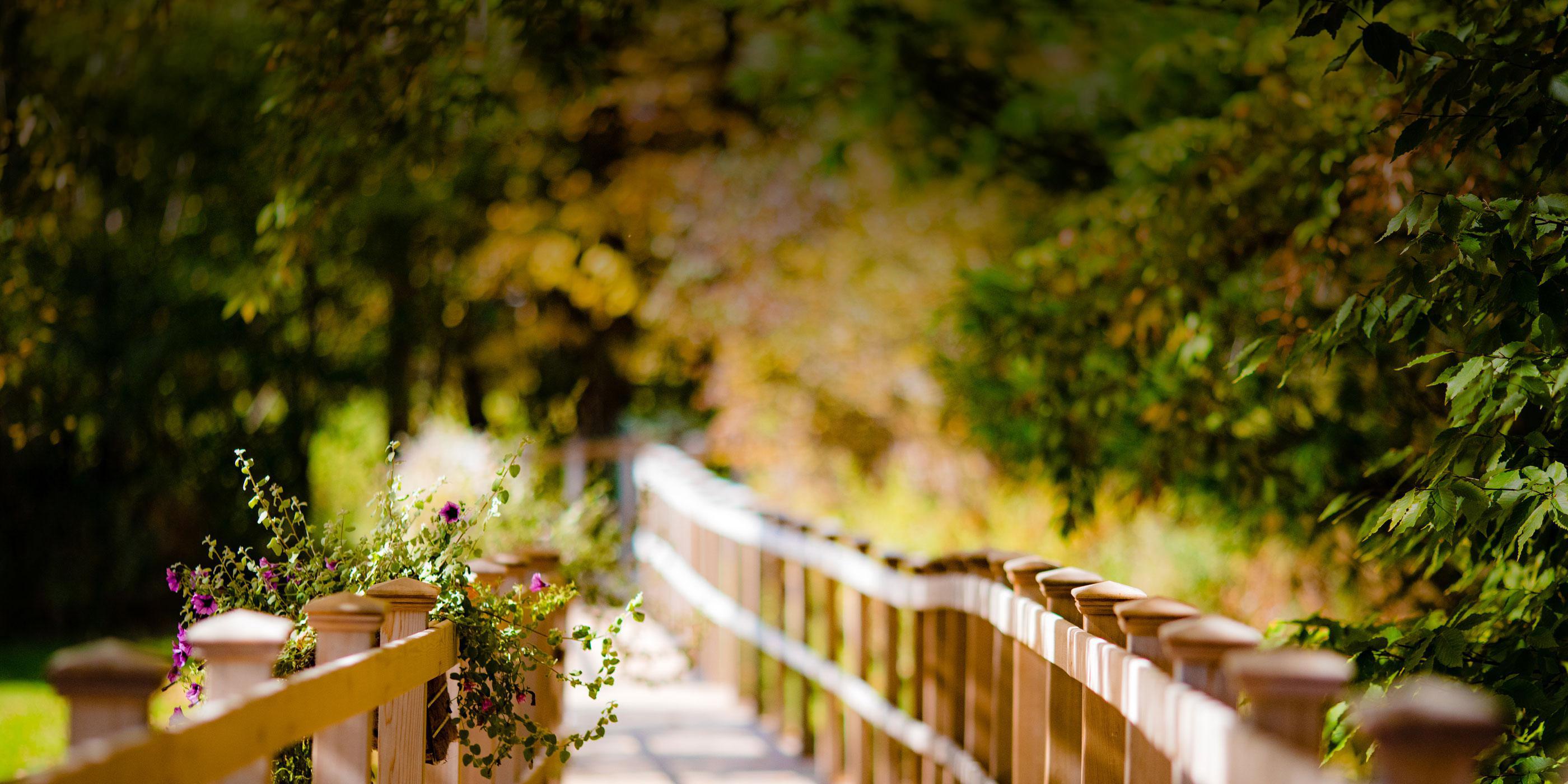 Wooden path winding through beautiful fall colors at Canyon Ranch Lenox