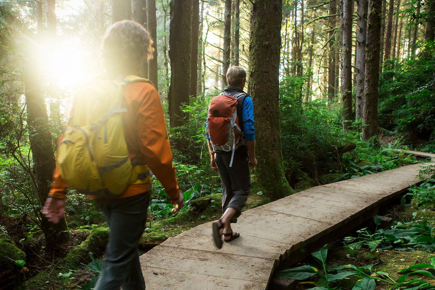 Two women hiking in the redwoods