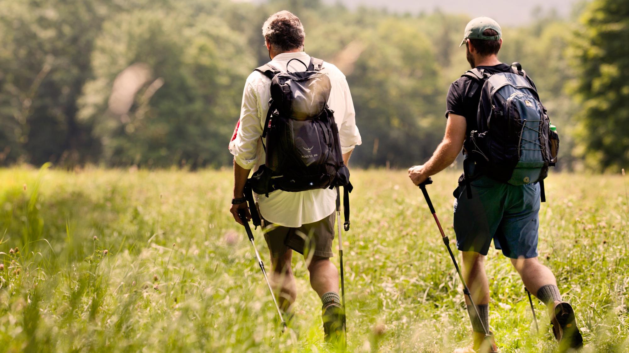 People hiking in a field