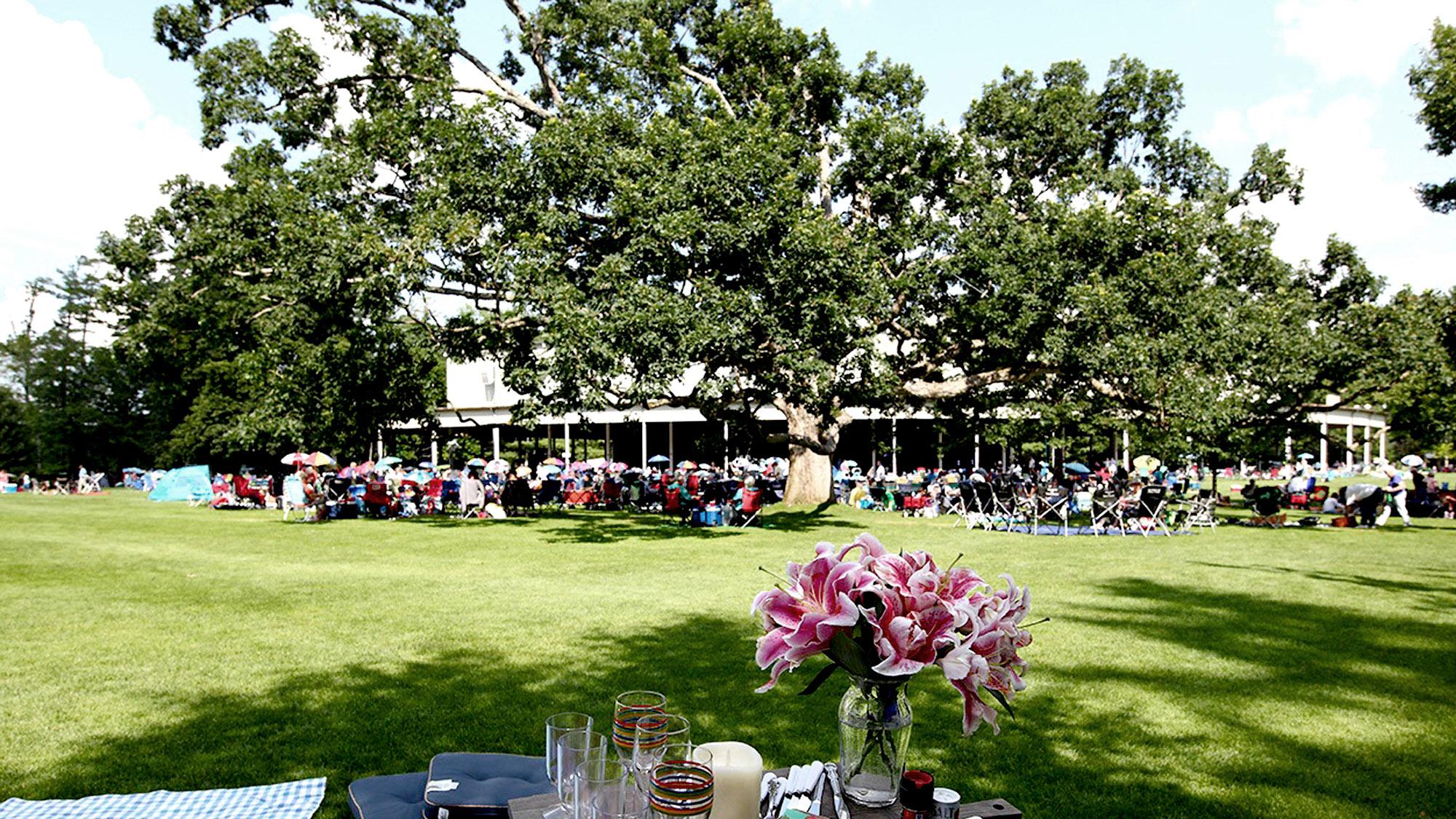 Crowd of concert goers enjoying outdoor show and festivities.