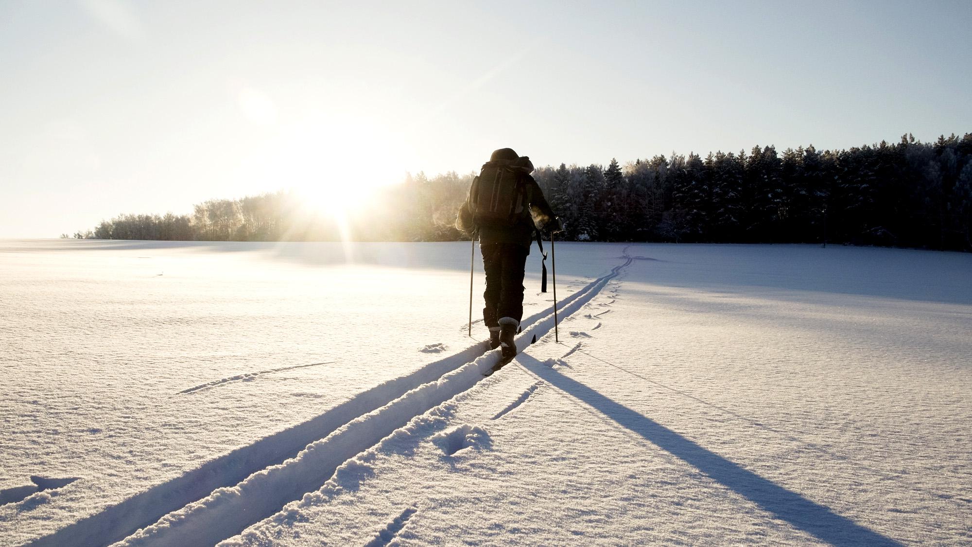 Cross country skiing at sunrise