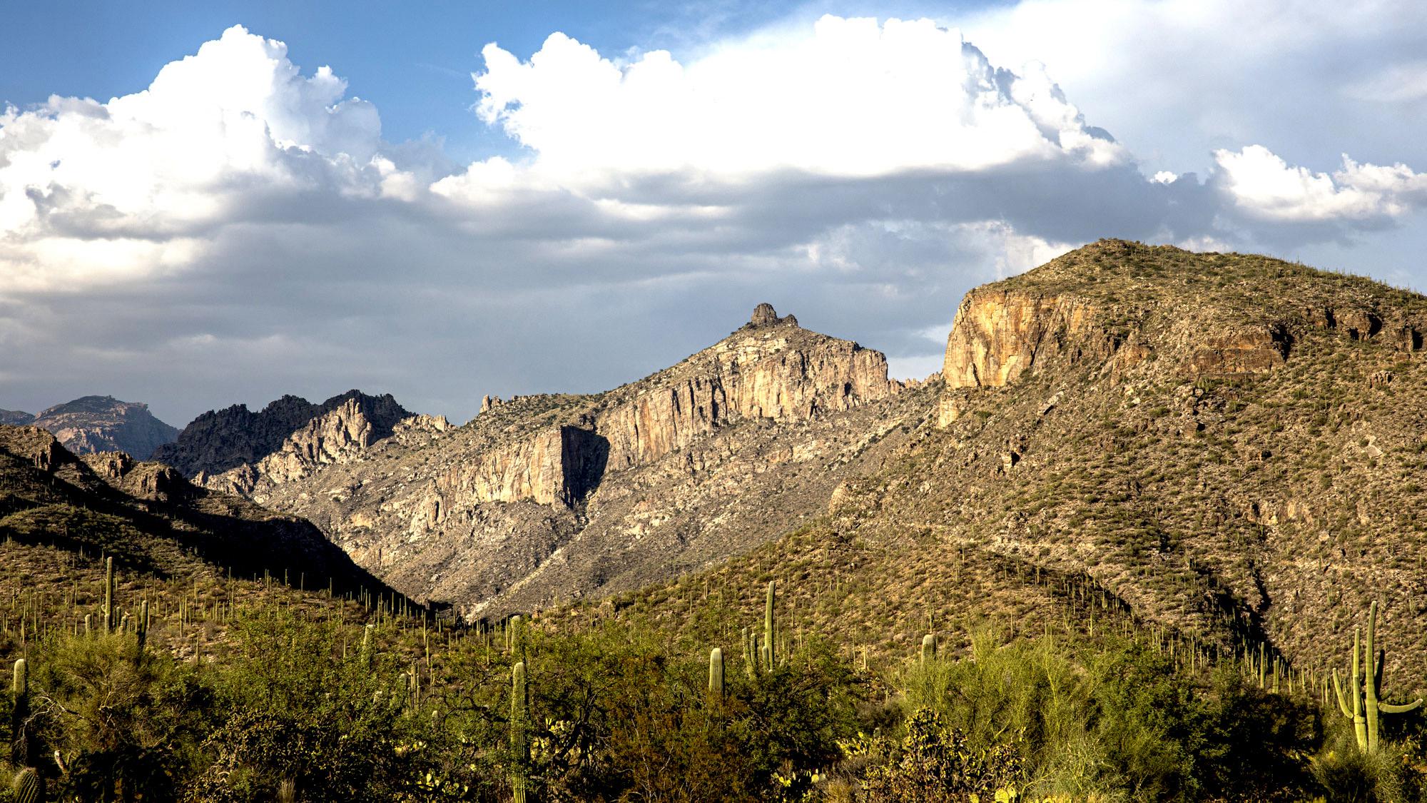 Beautiful view of the catalina mountains with green foothills