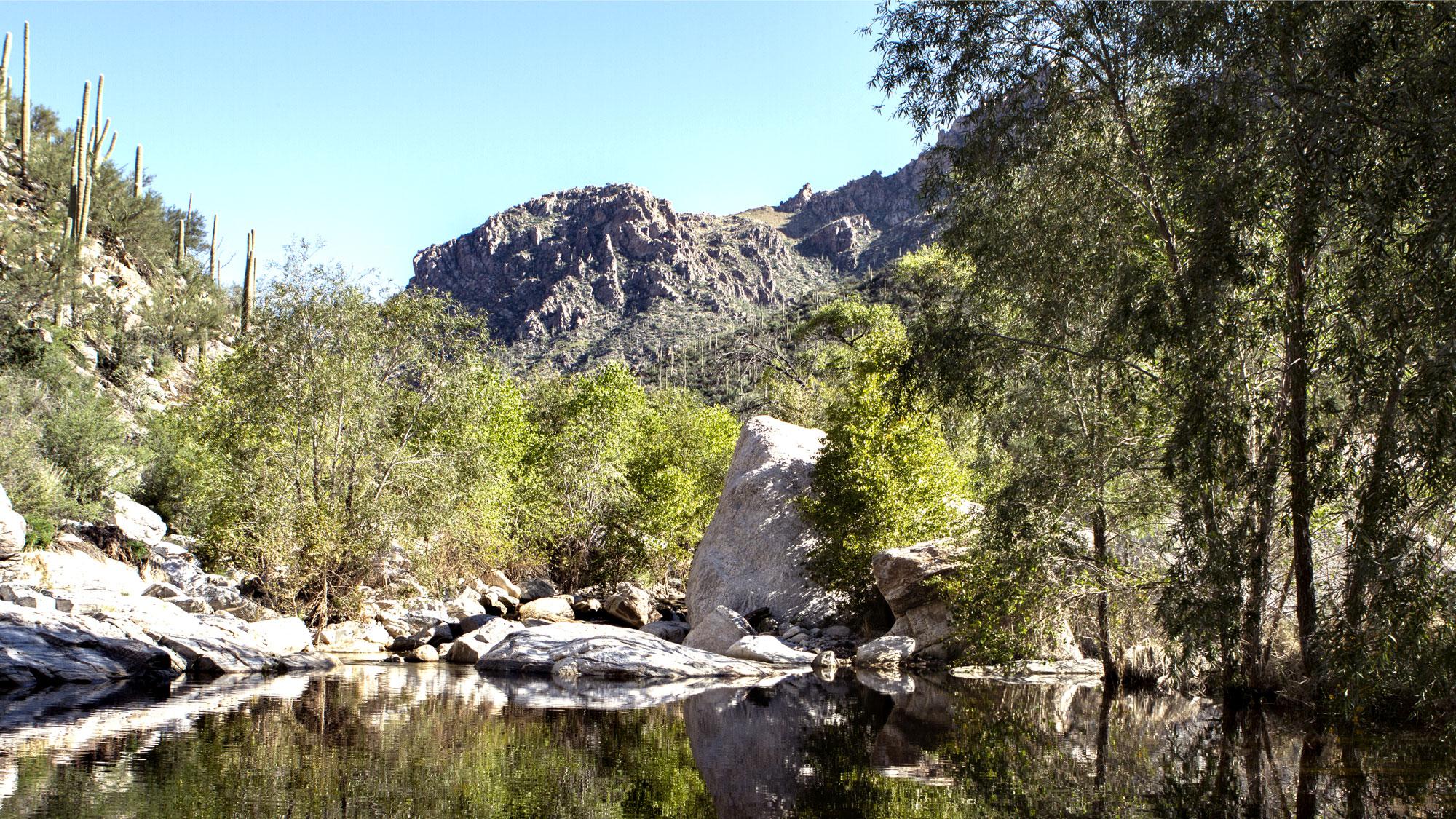 Beautiful view of water and desert scenery at Sabino Canyon