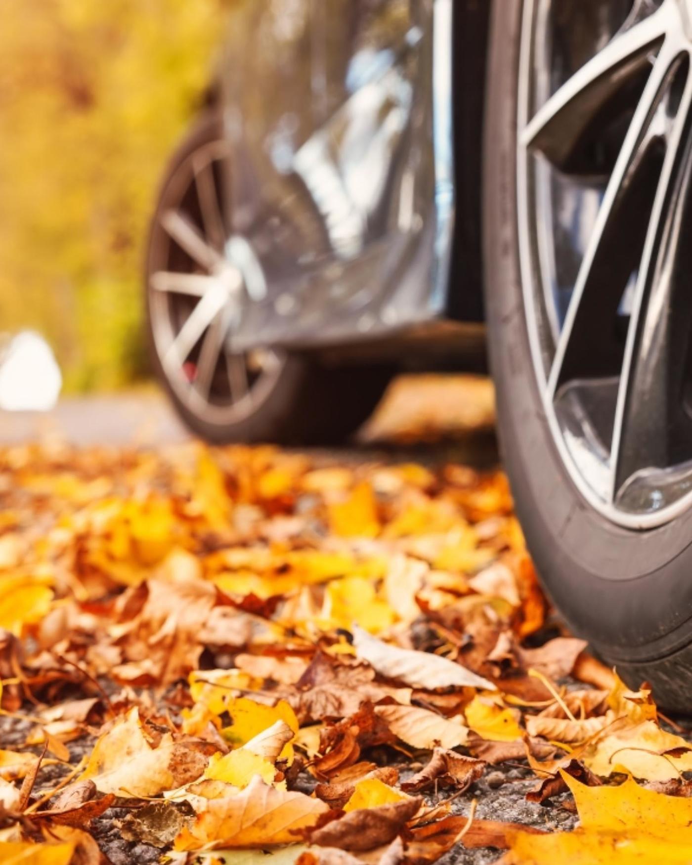 towncar in the fall leaves