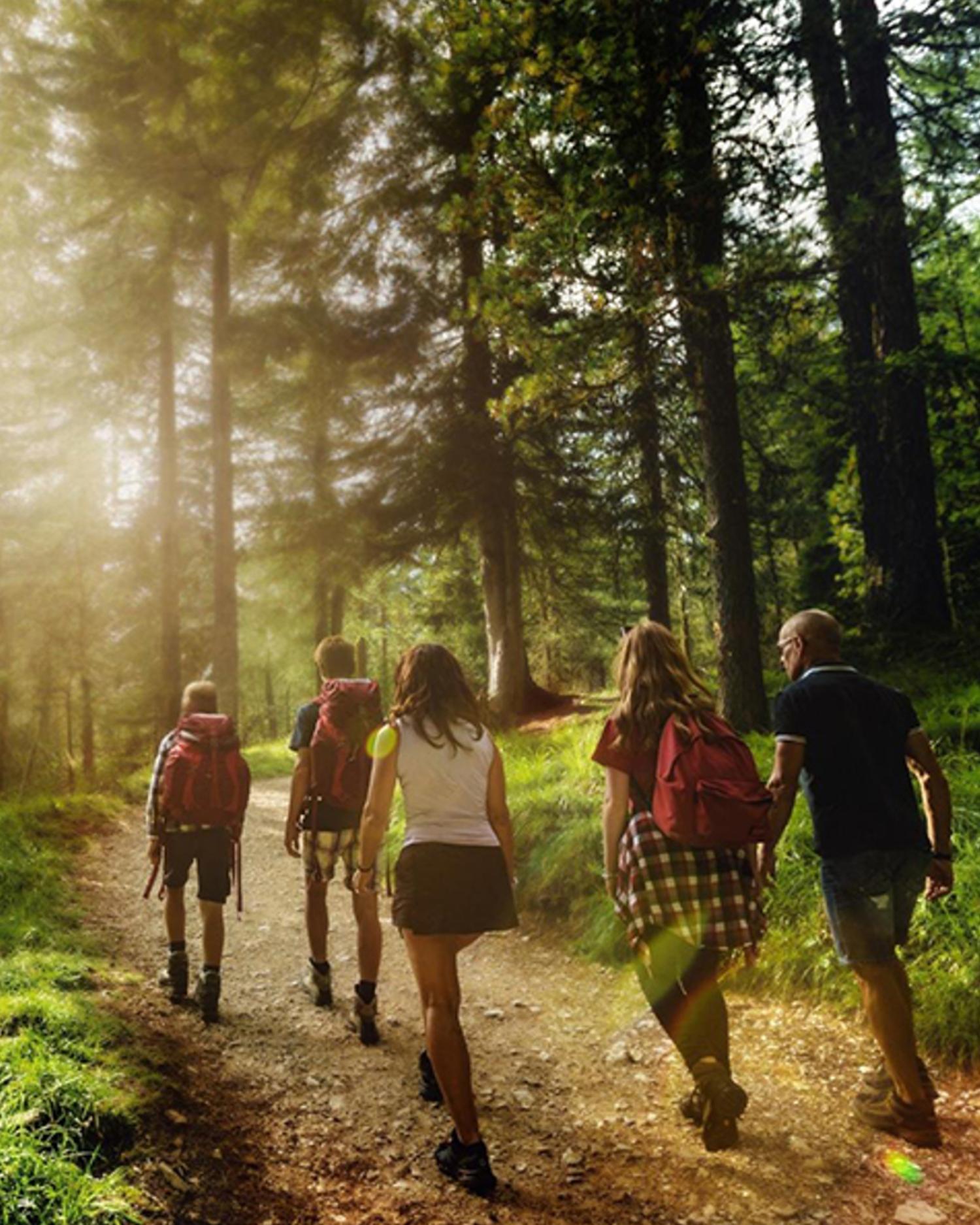 A group hiking in the Redwood Forest at Canyon Ranch Woodside in the San Francisco bay area
