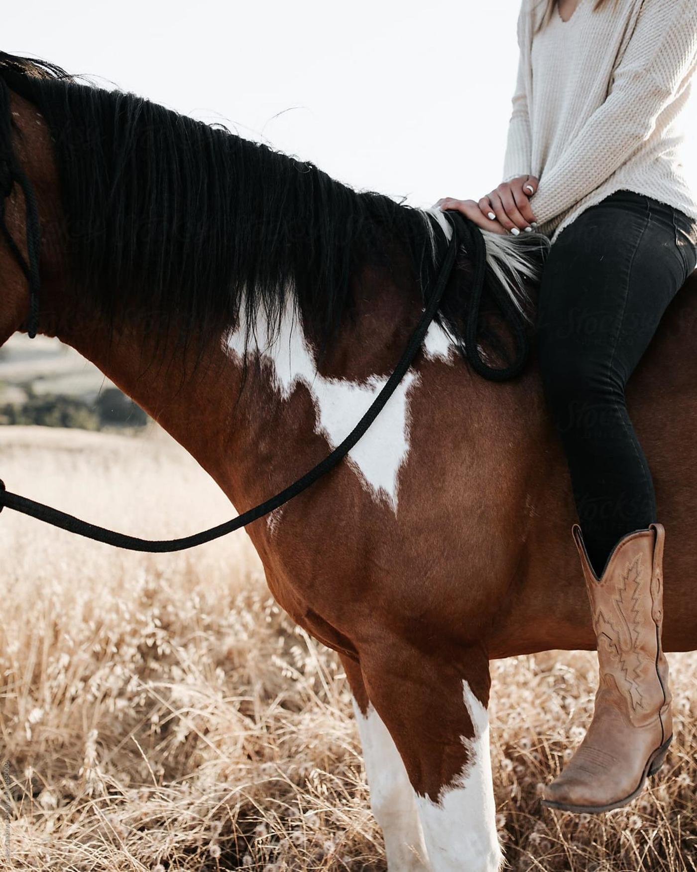 Giddy up horse