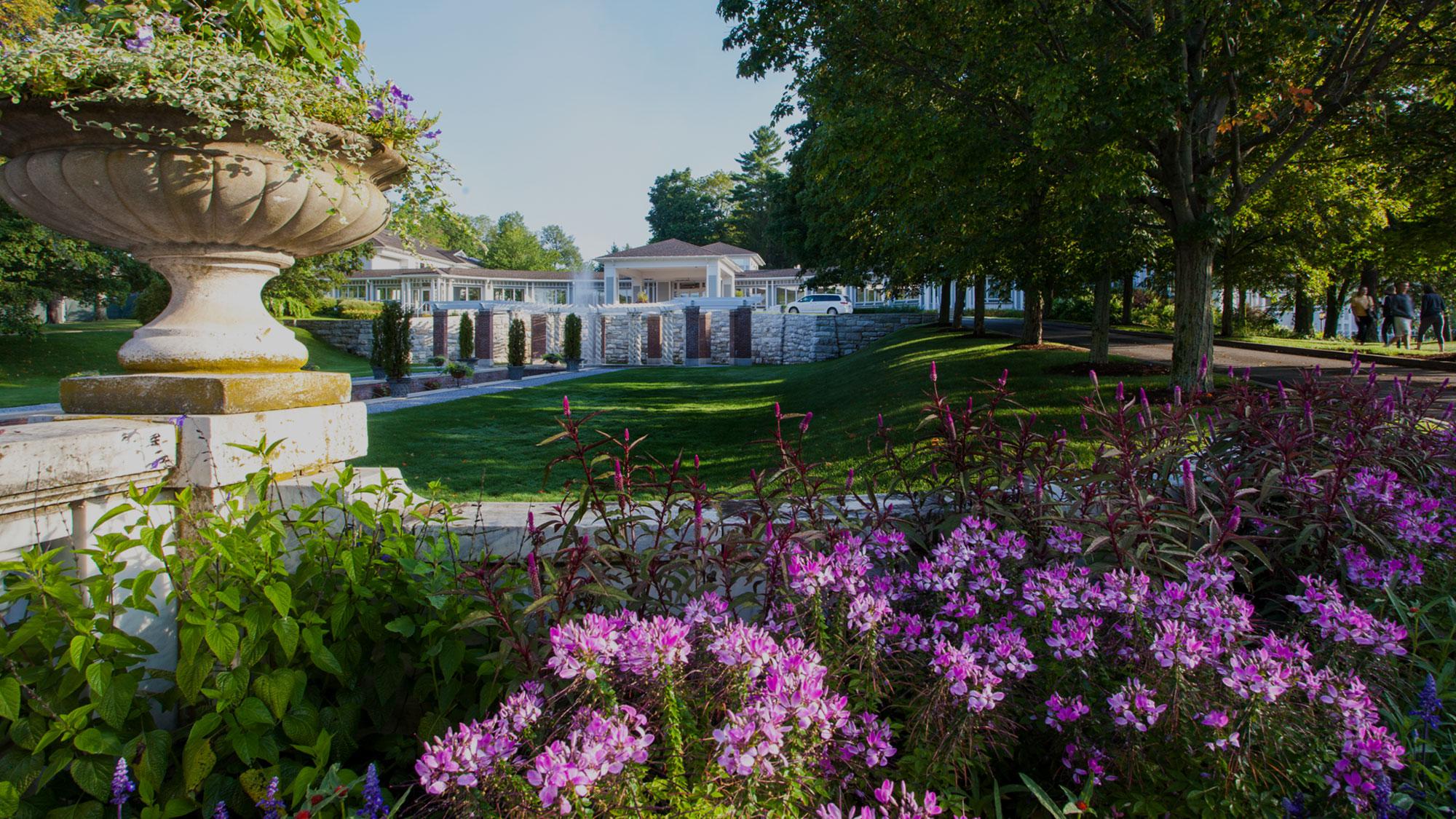 A scene in Lenox with purple flowers