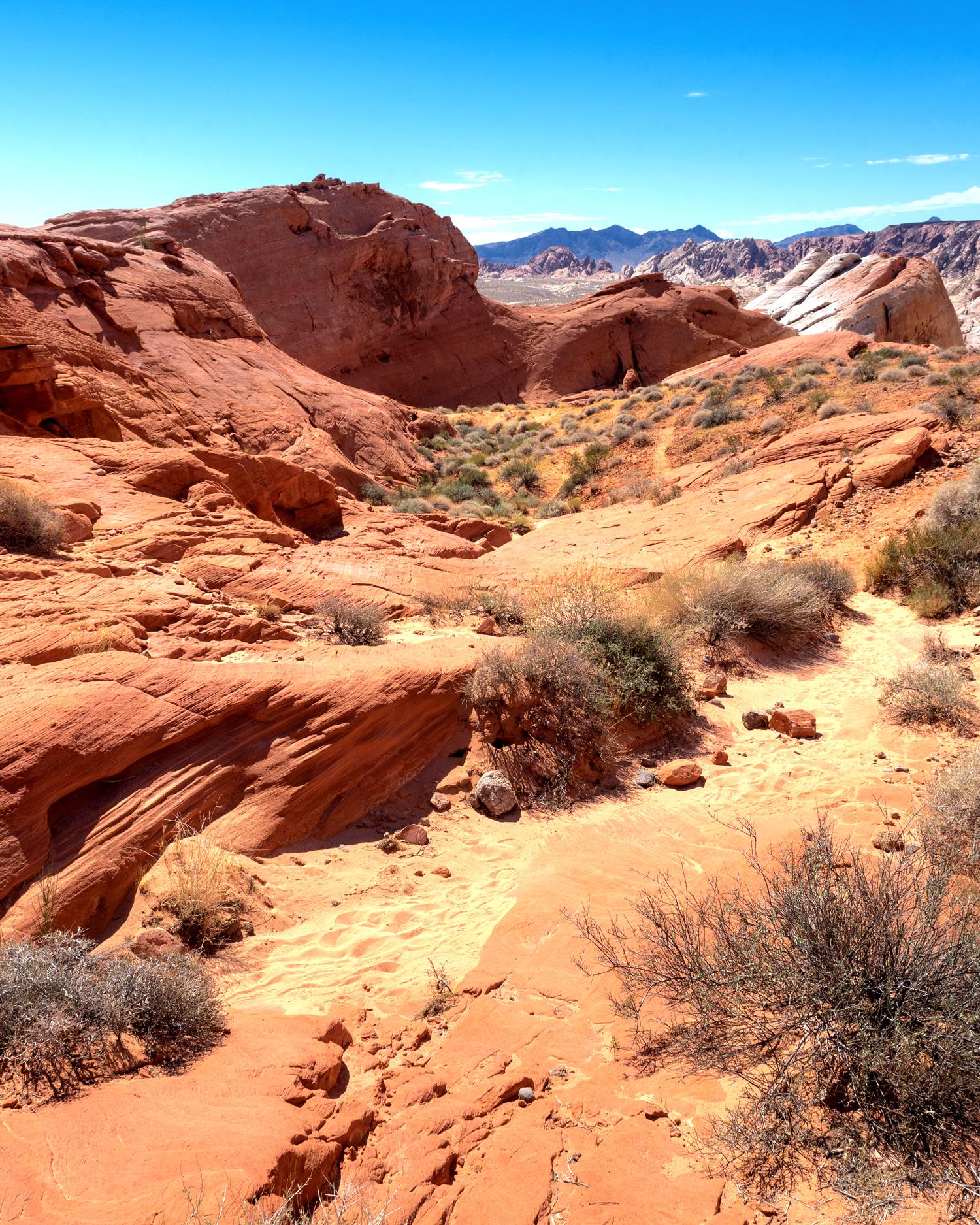 Nevada Desert