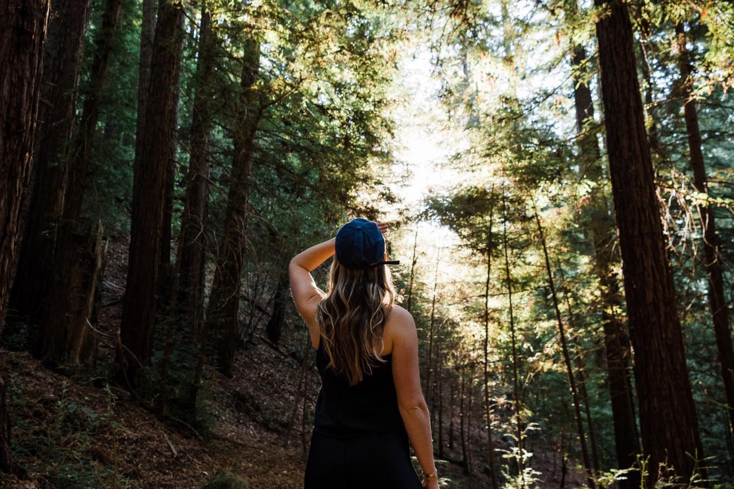 A woman looking out into the forest