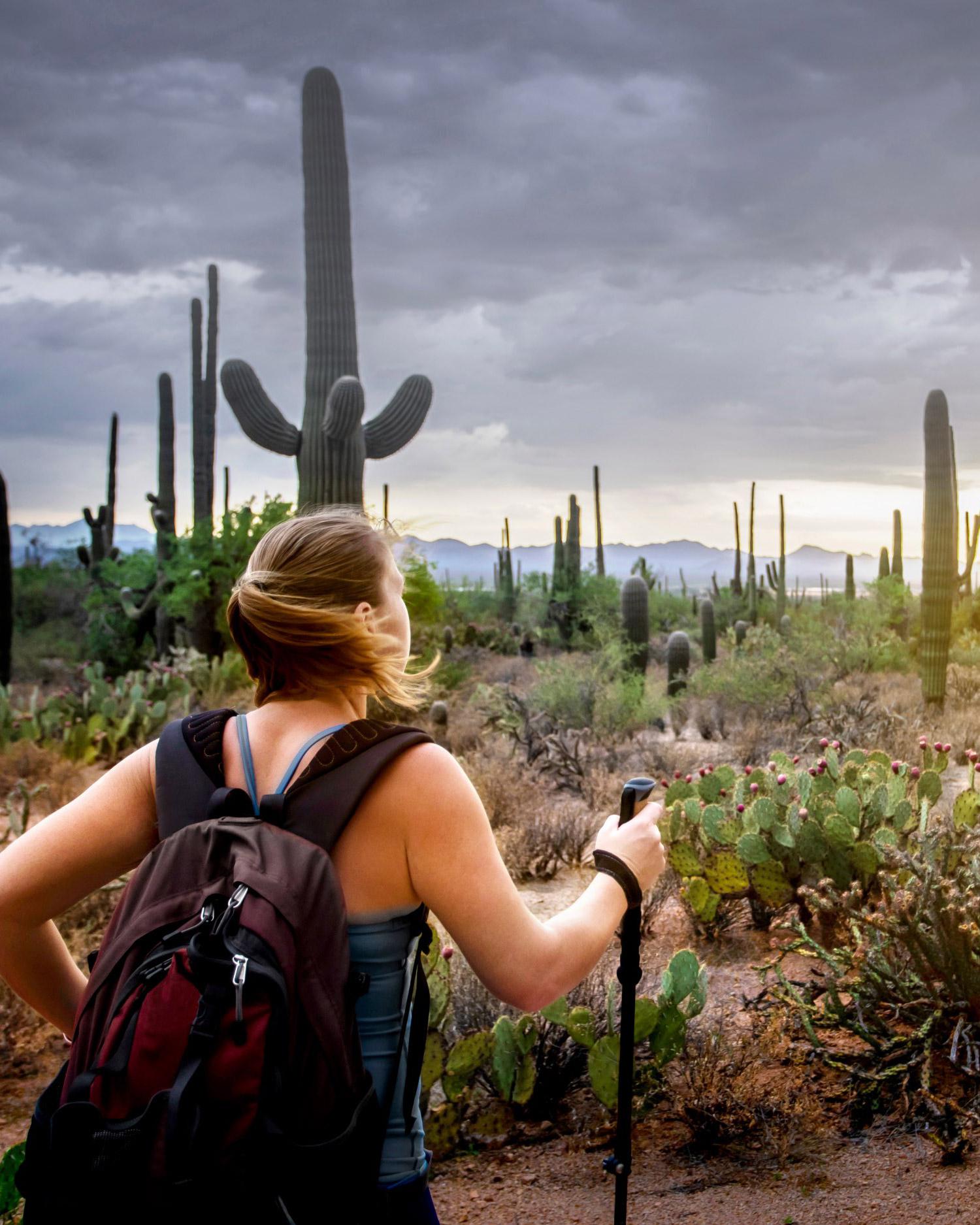 Woman hiking in the Sonoran Desert