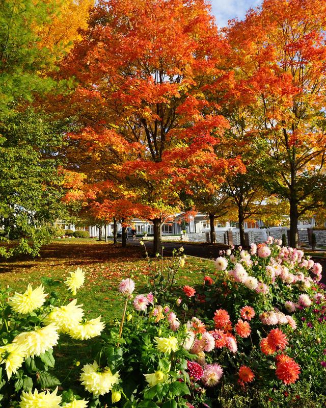 sm_fall-berkshires-canyon-ranch-lenox-spa-fitness-resort