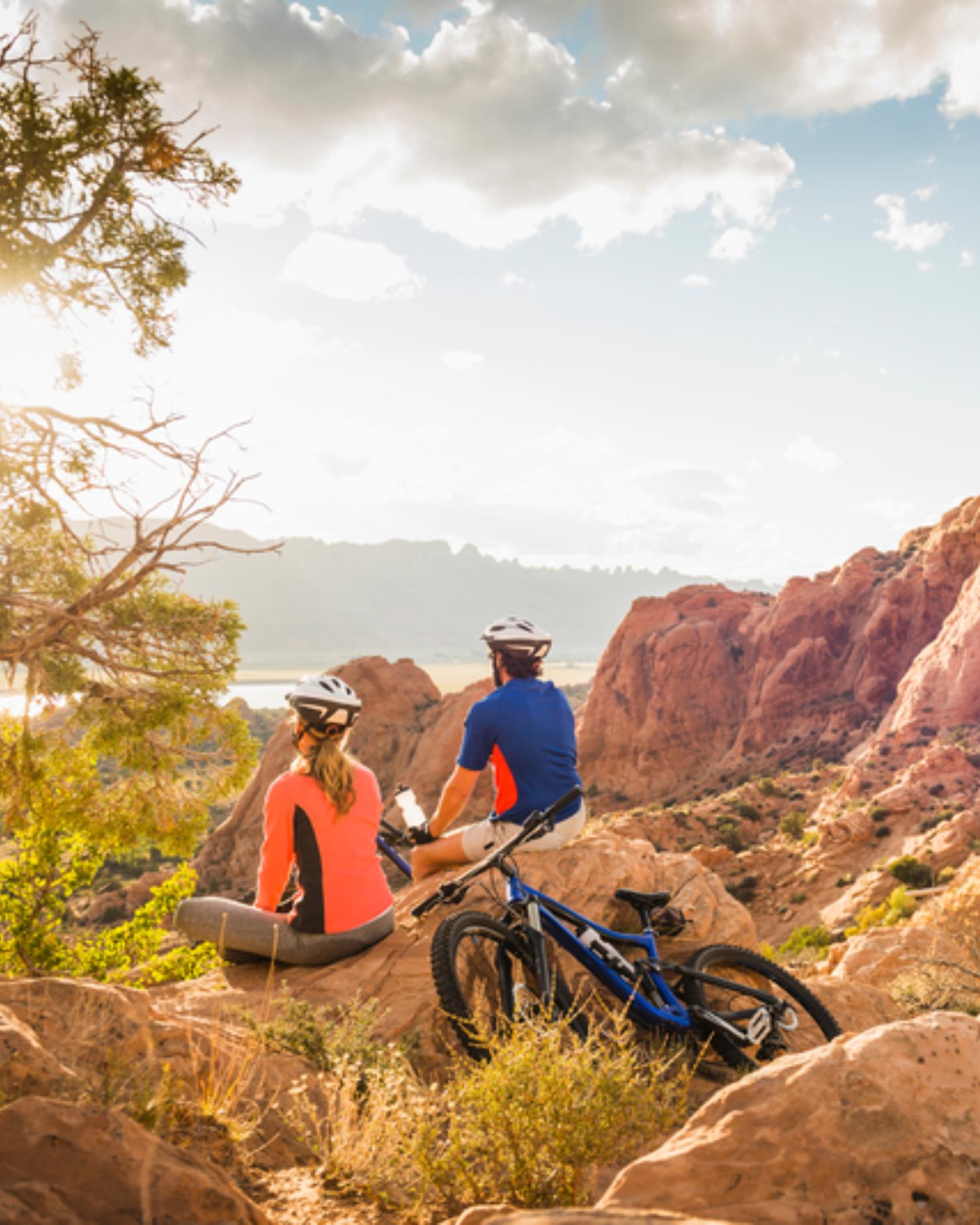 Two mountain bikers looking at the landscape