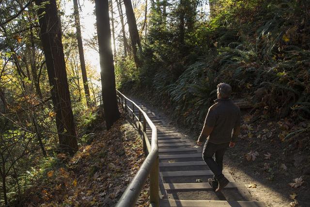 A man hiking in the forest