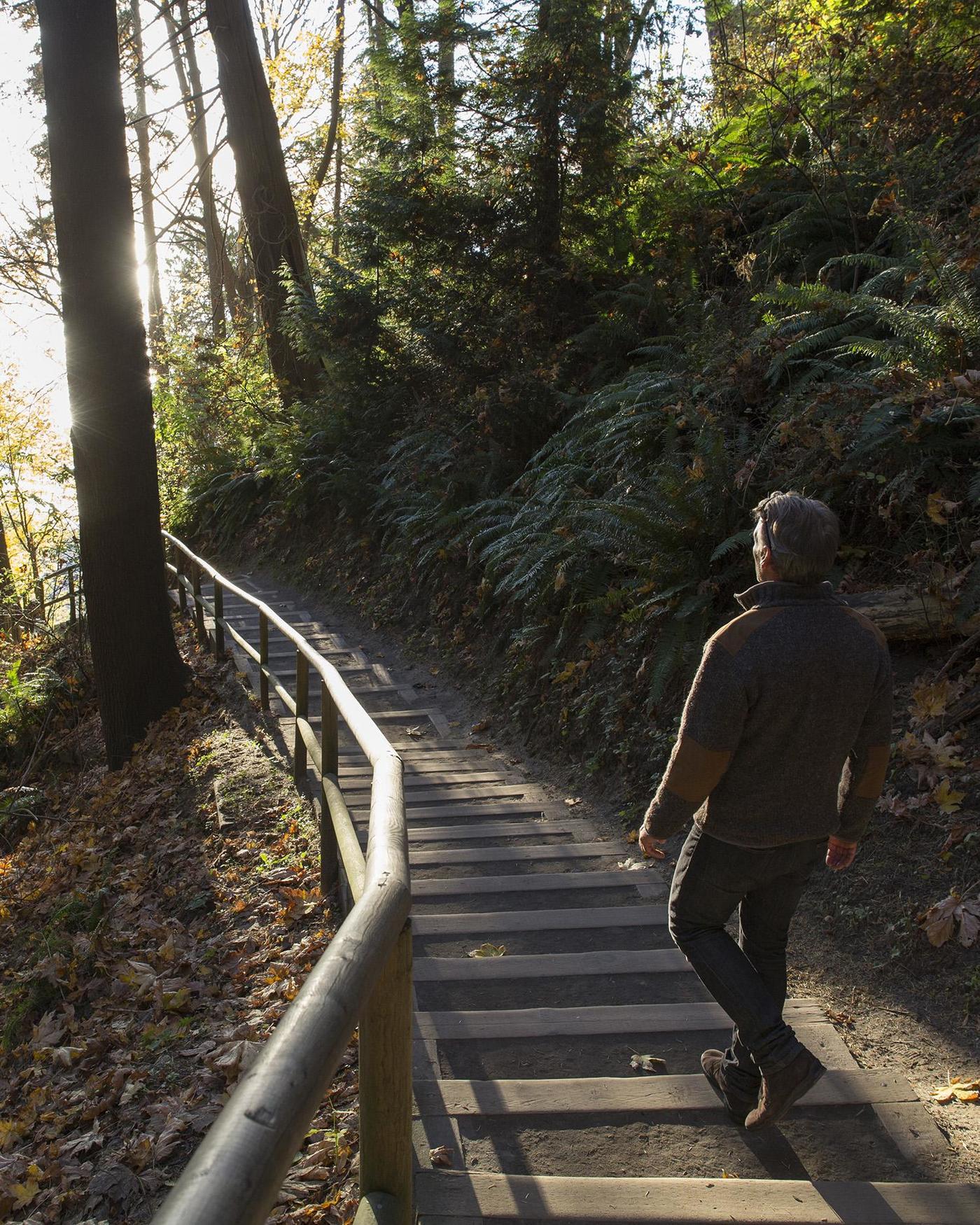A man hiking in the forest