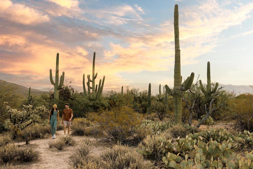 A couple hiking in the desert