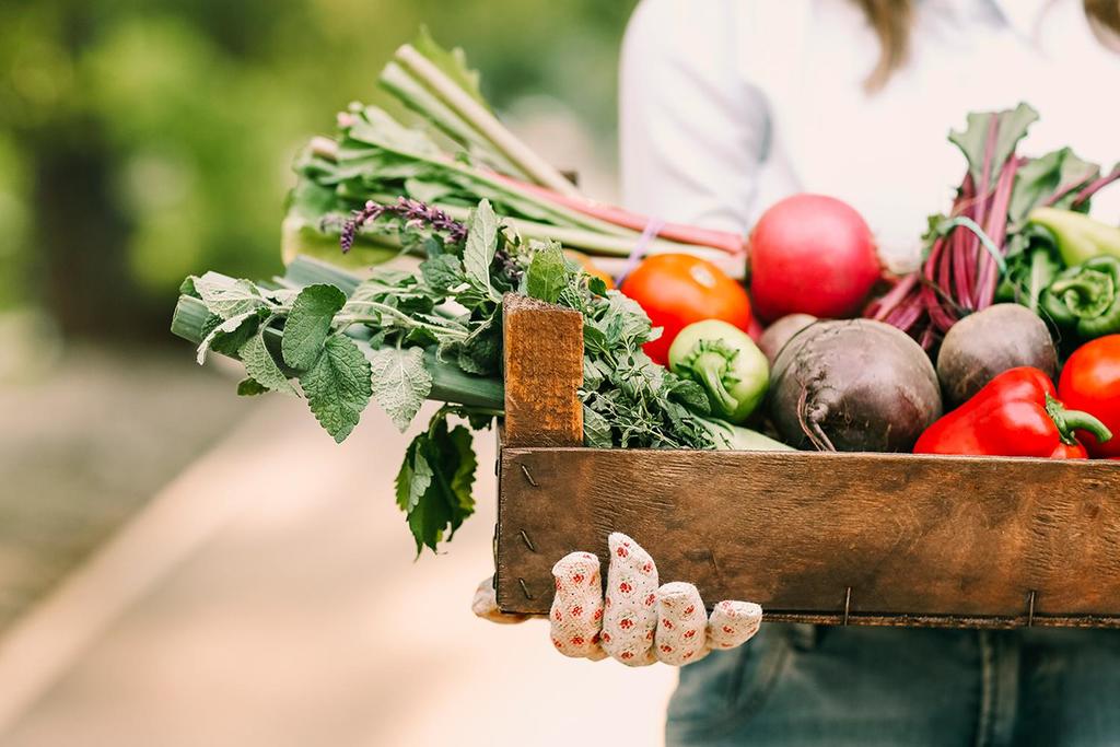 A woman carrying a box from the garden