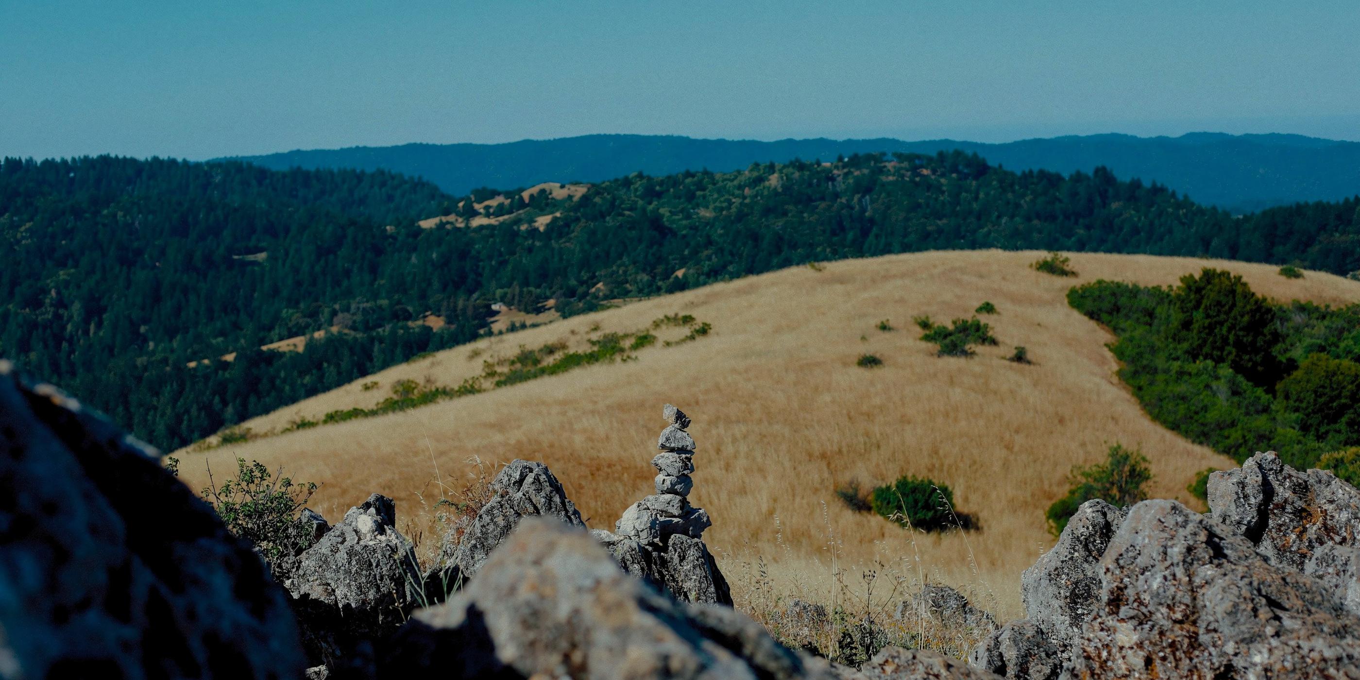 a picture of the Djerassi Artists Program Hike at Canyon Ranch Woodside Fitness + Spa Resort