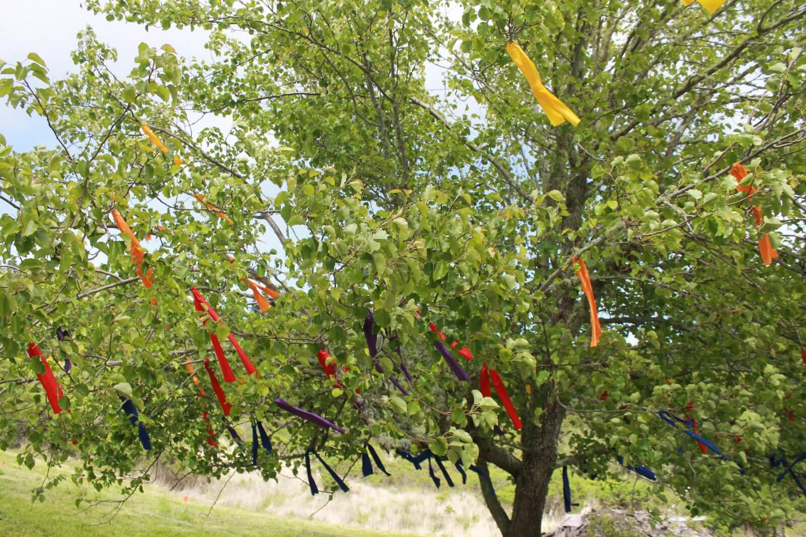 Sculpture by Rukhe Zaidi on hiking path at Djerassi artist retreat