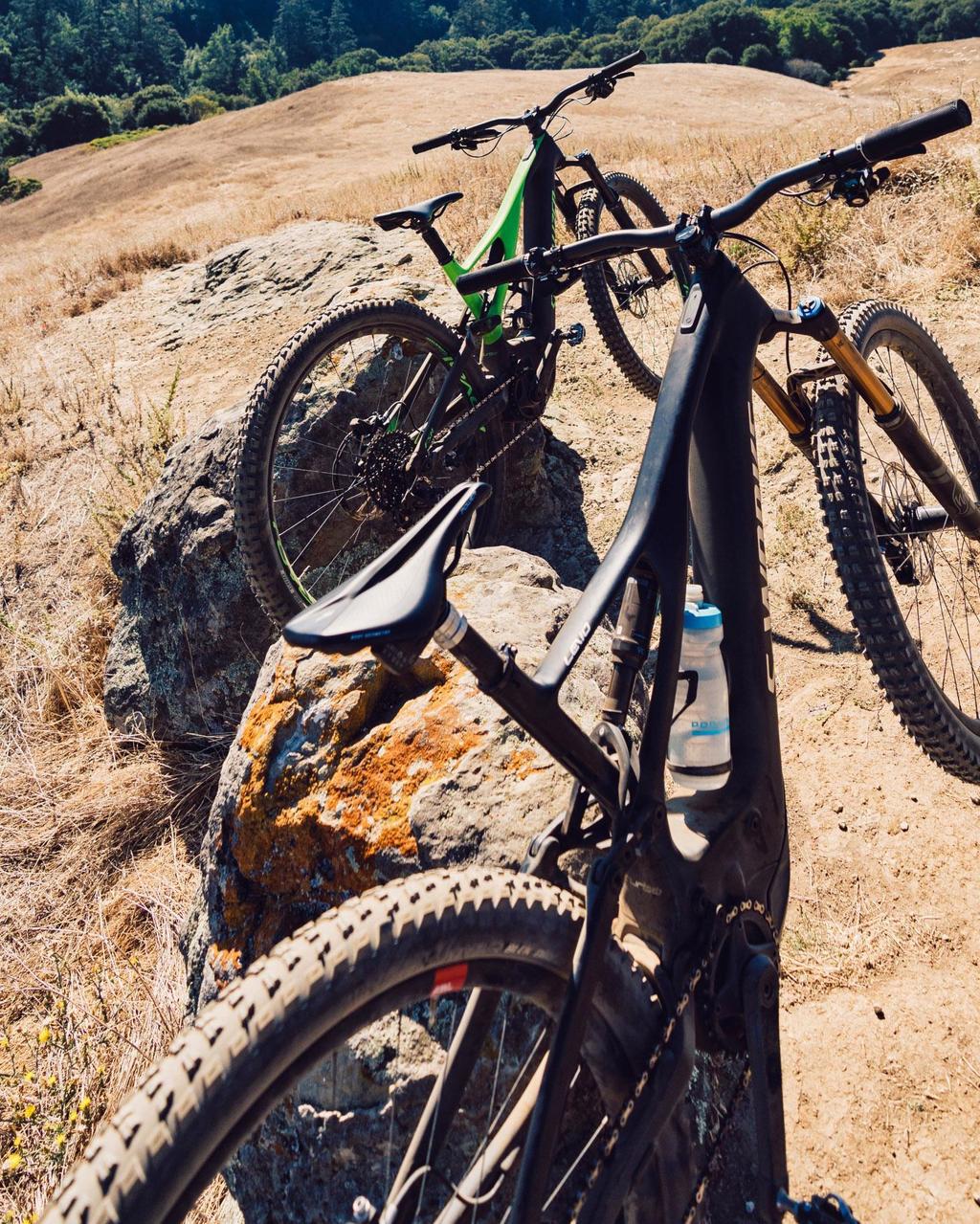 two bikes on top of a hill in the Redwood Forest near Canyon Ranch Woodside Fitness + Spa Resort