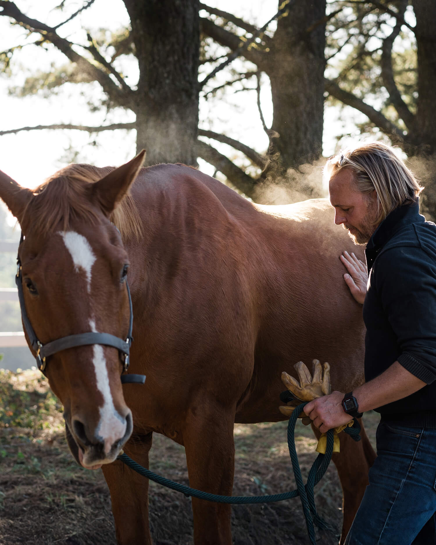 A man with a horse