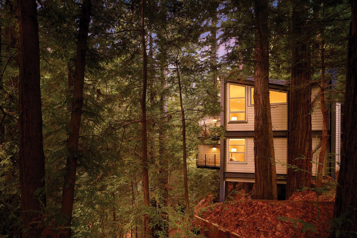 A treehouse room at Canyon Ranch Woodside
