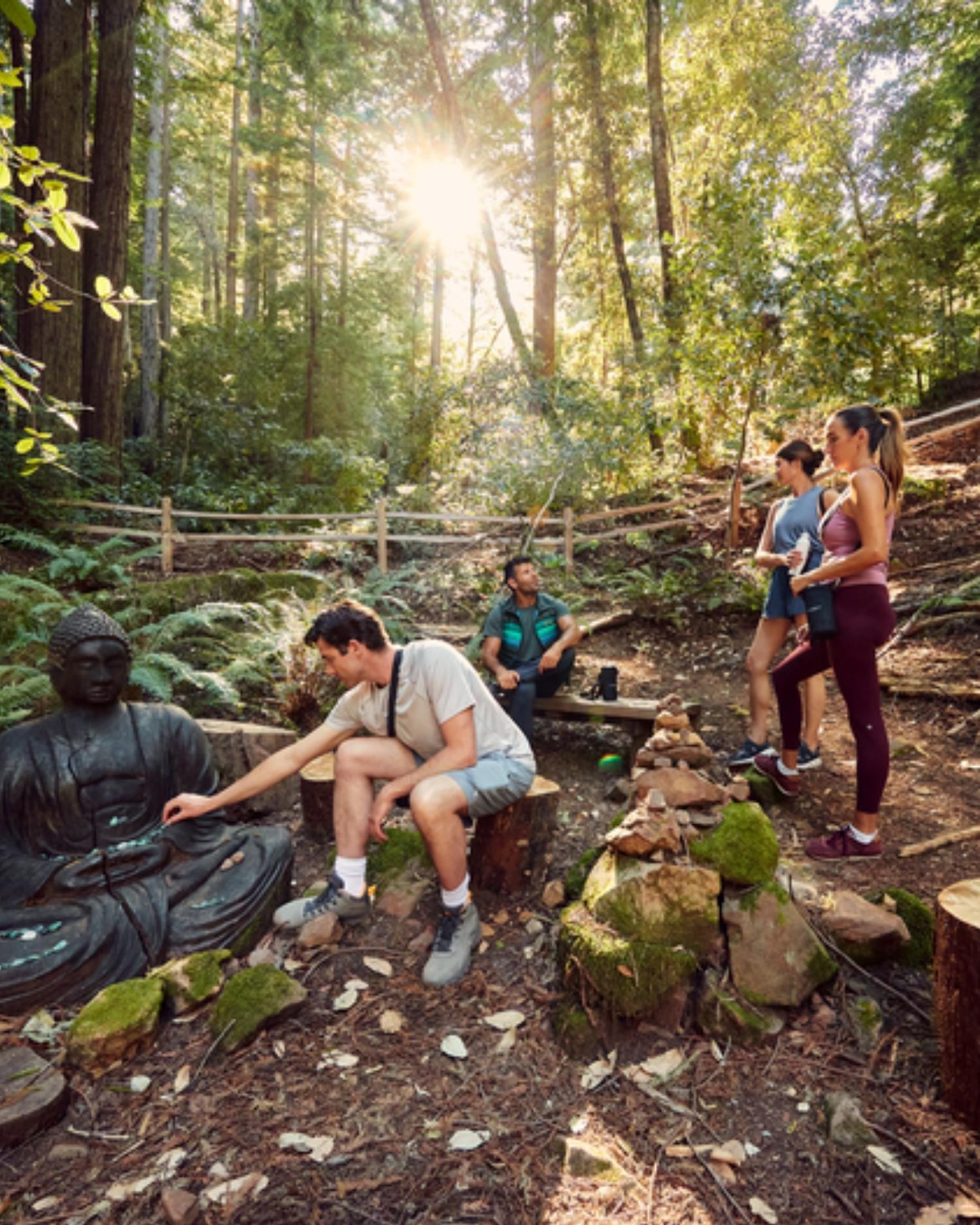 People making tribute at the buddha in the forest