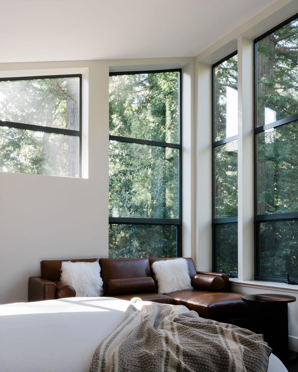 hotel room in the redwood forect