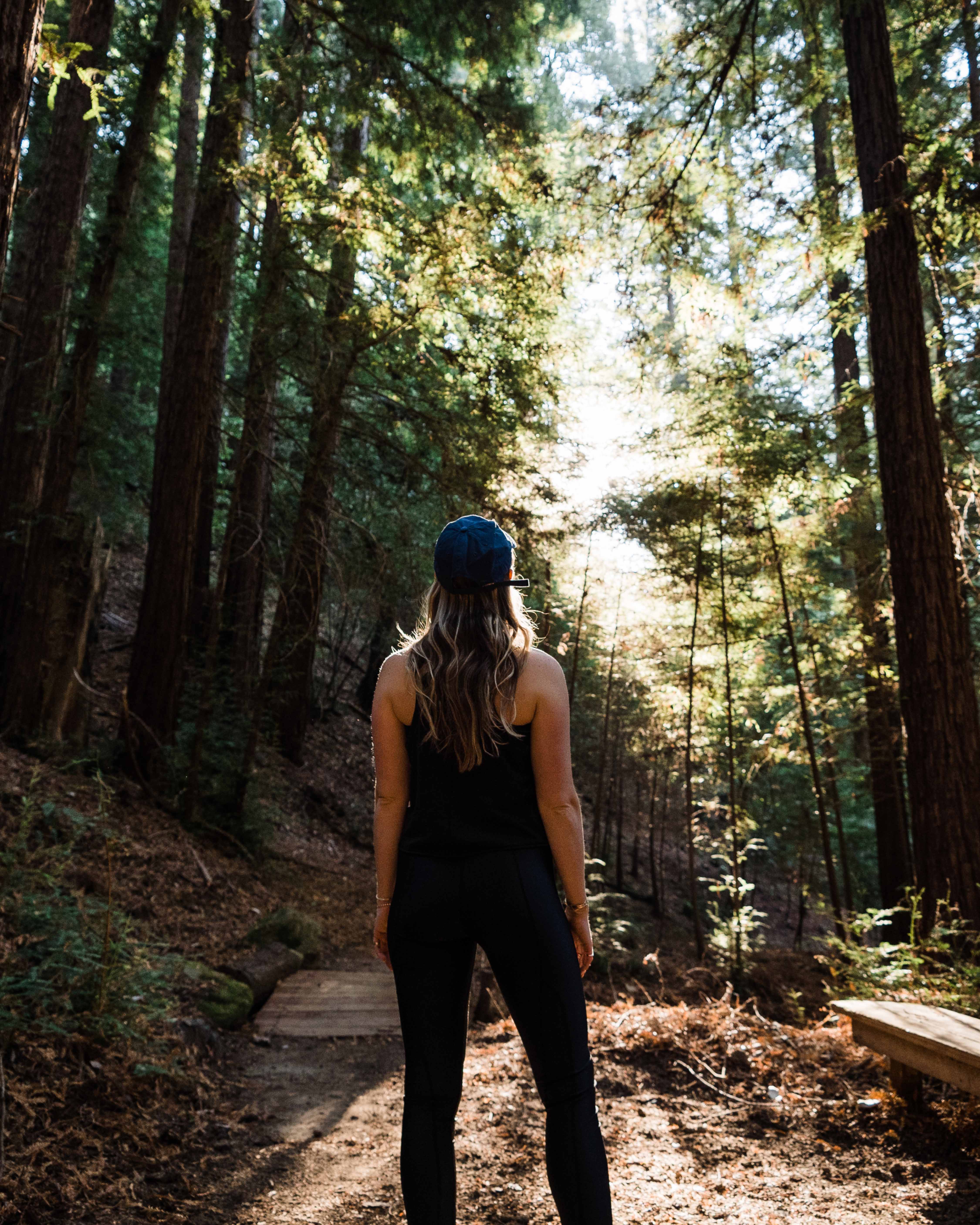 Woman Standing Still in Woodside Forest 