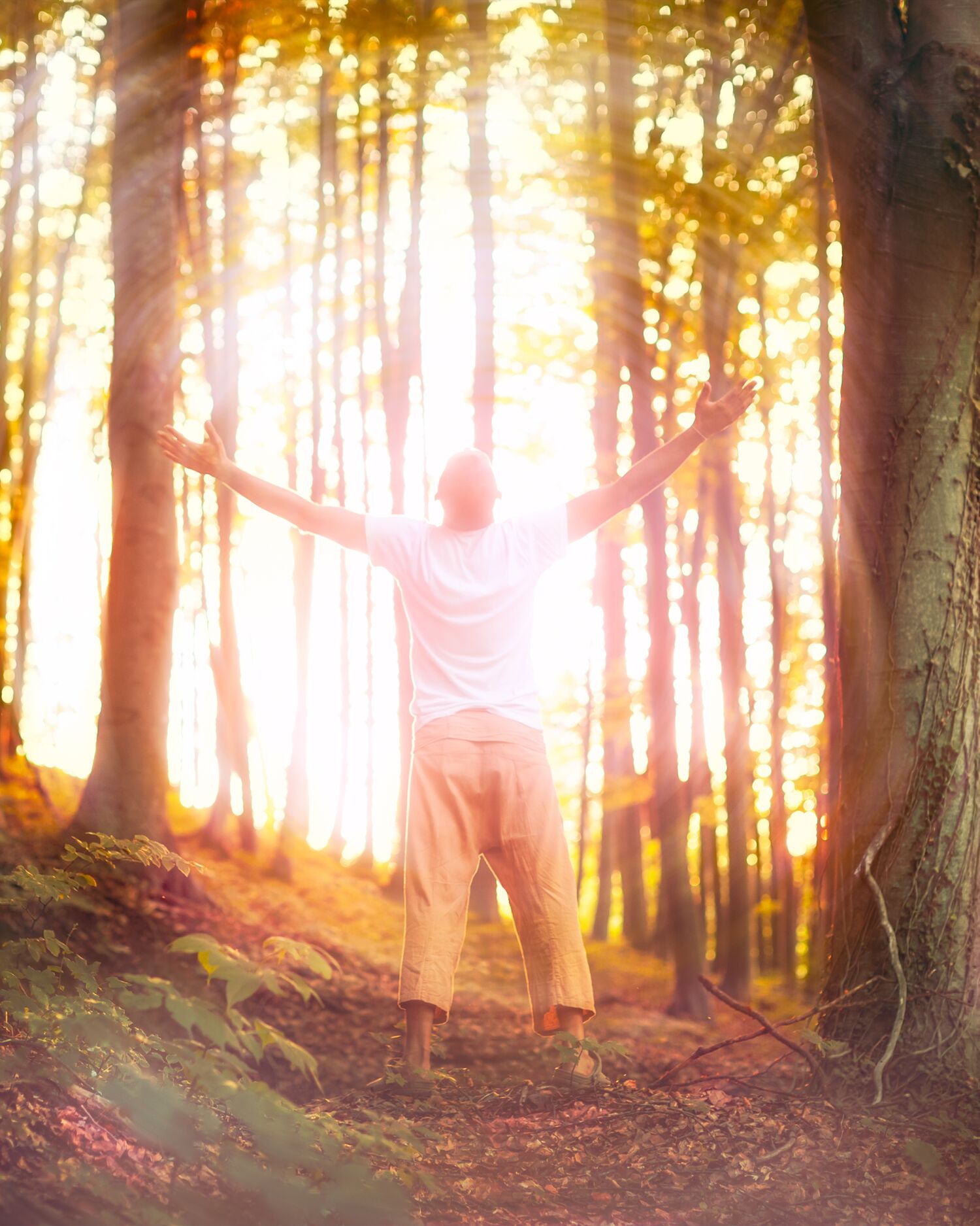 A man channeling in the forest
