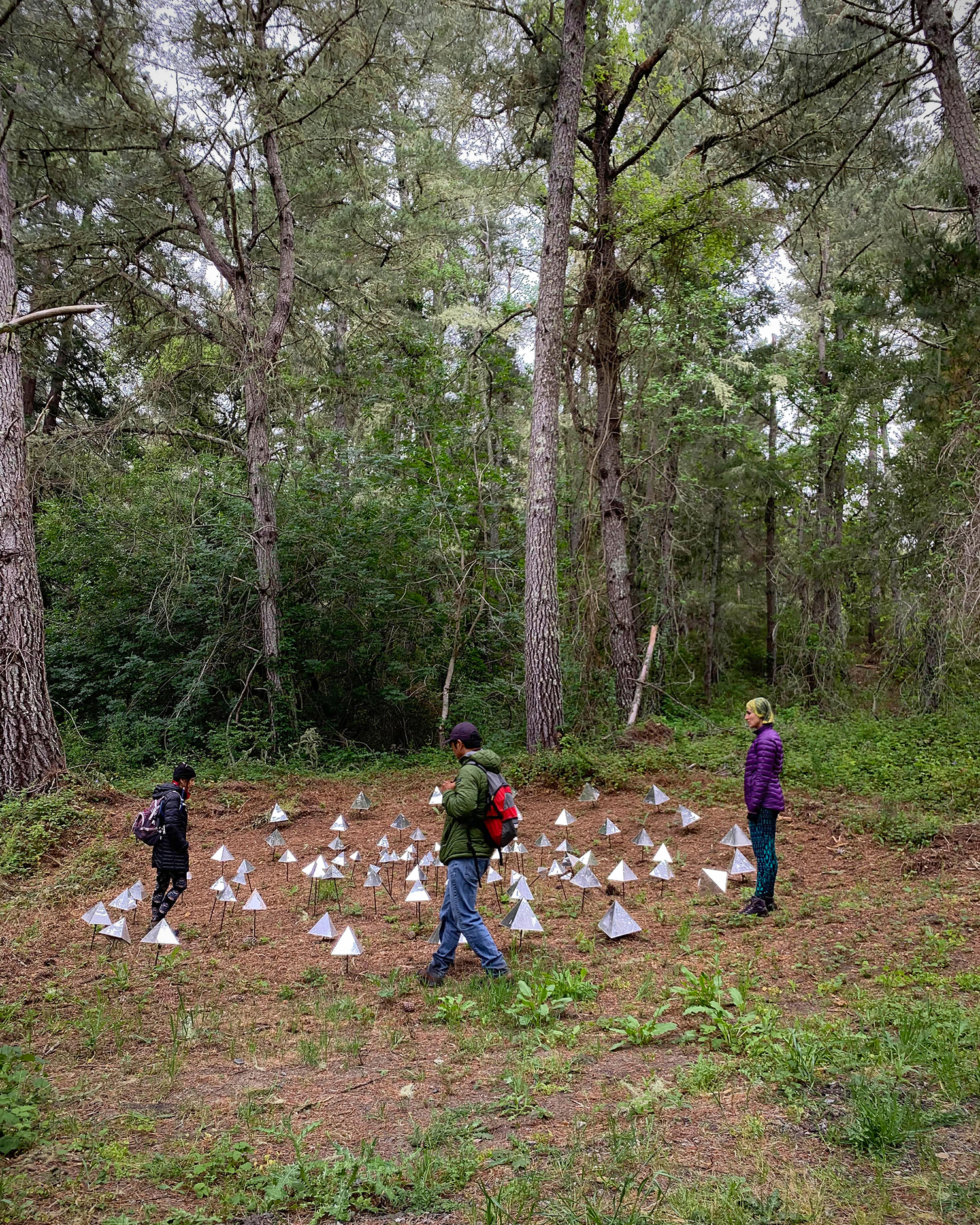 a group hiking the Djerassi Hike