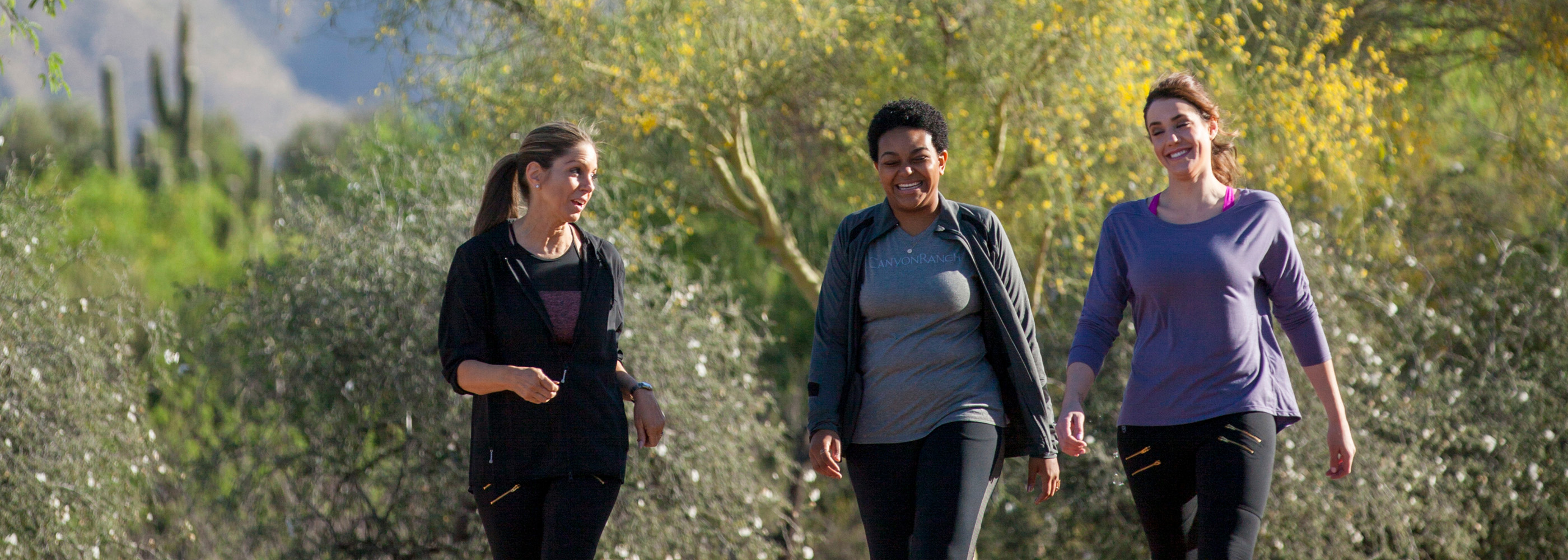 Three Women Walking in Nature