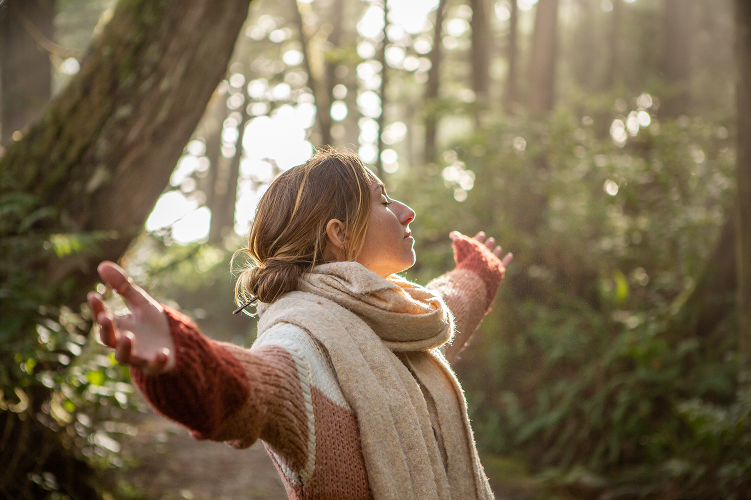 a woman in the redwood forest