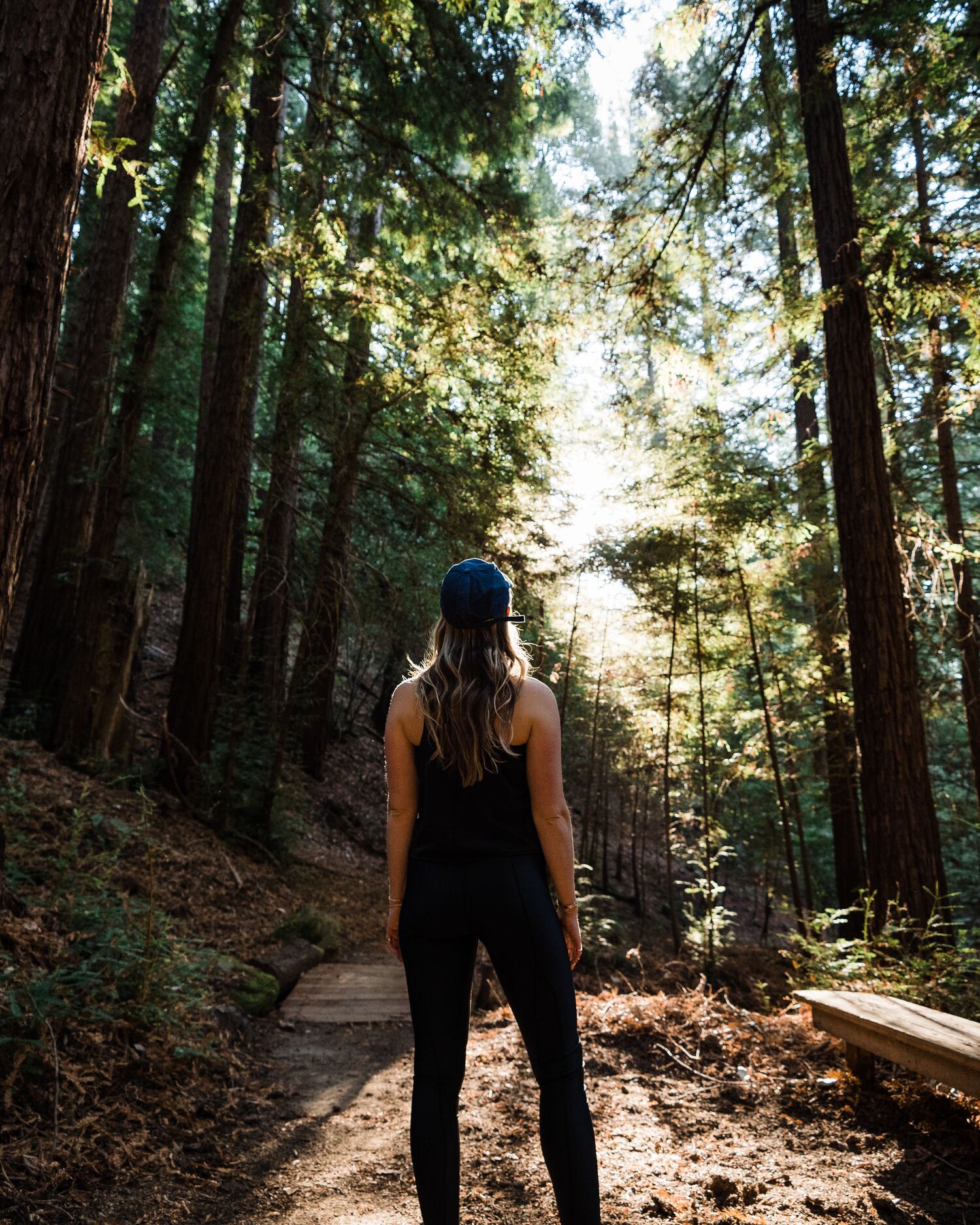 Woman Standing in Middle of Redwood Trails