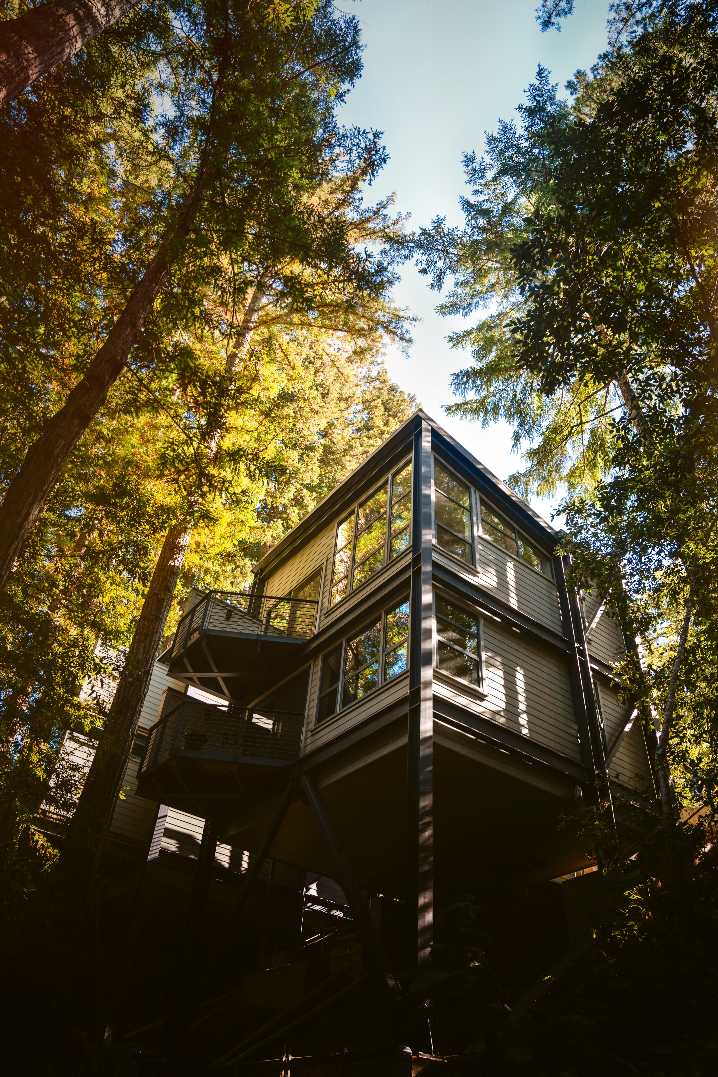 WDS Treehouse 