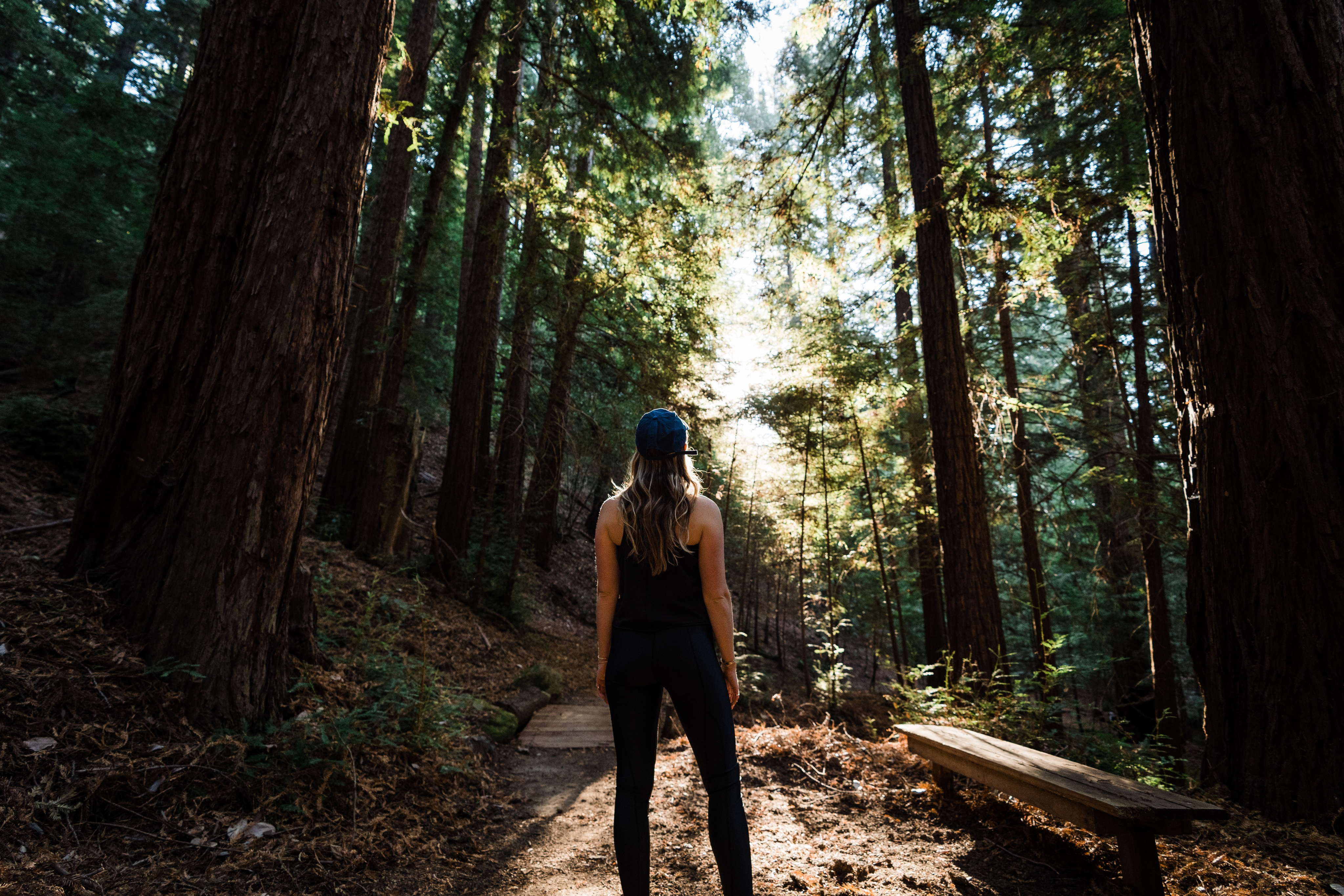 Woman Standing in the midst of the Woodlands 