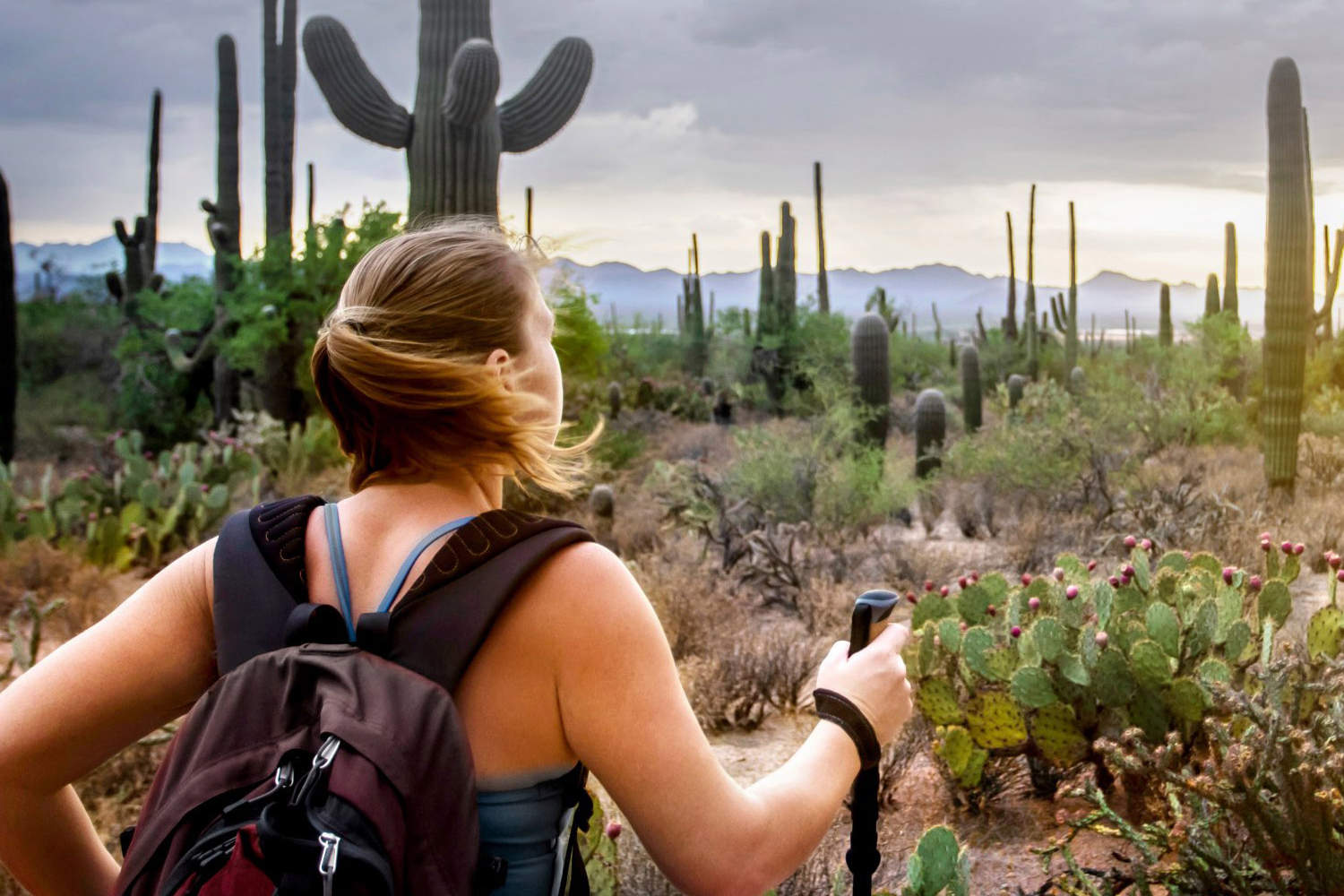 woman hiking in Sonoran desert 