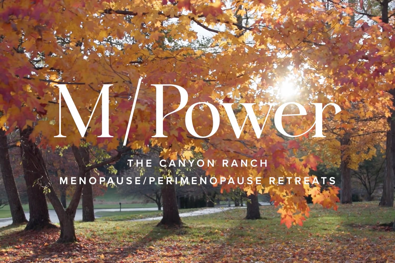 MPower Video Thumbnail