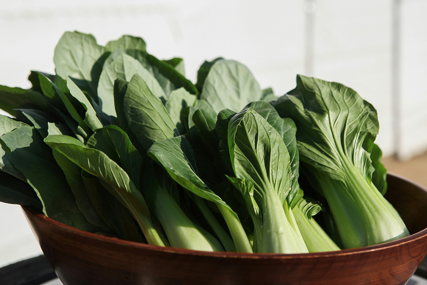 Sesame Bok Choy