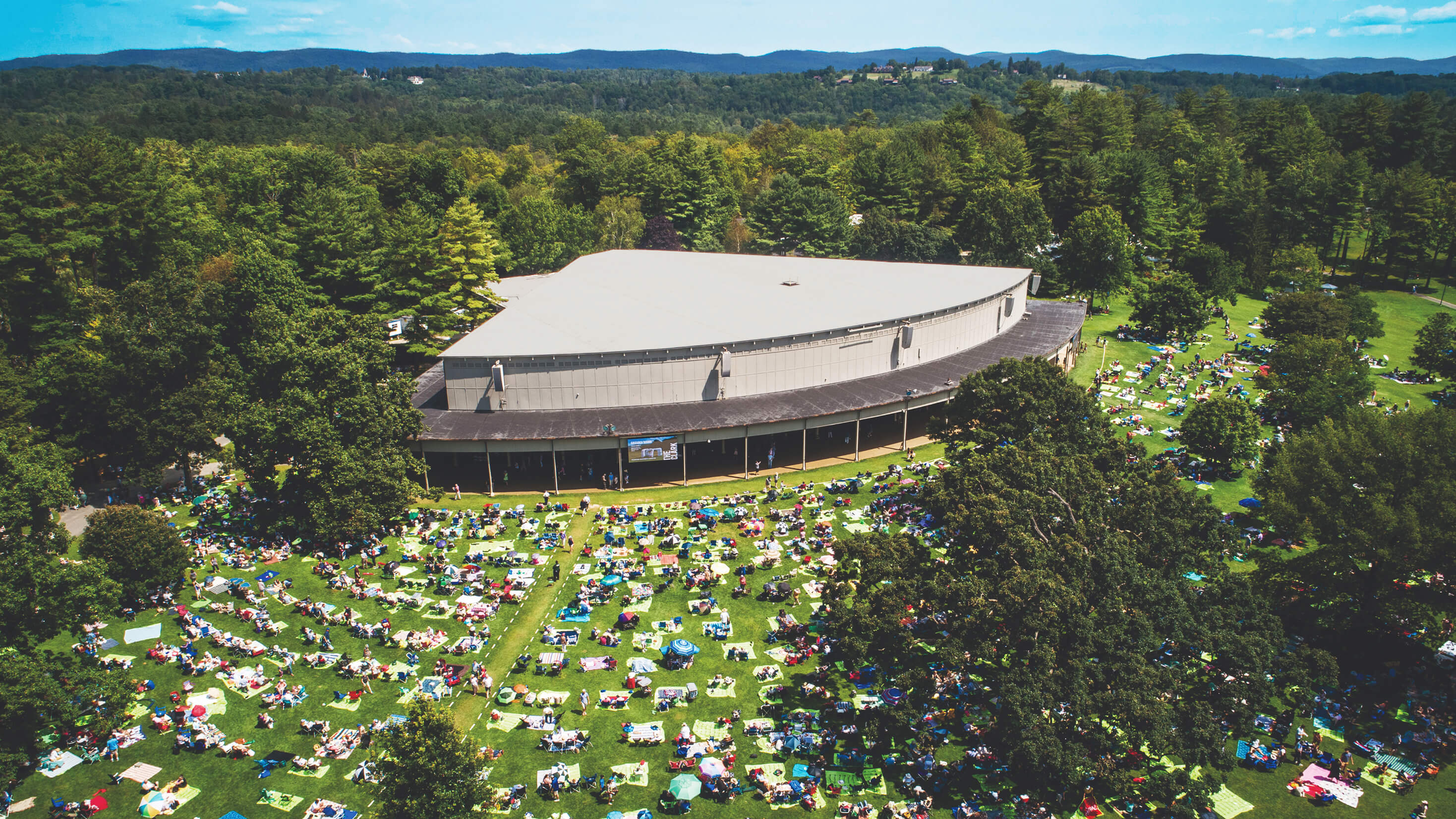Crowd of concert goers enjoying outdoor show and festivities.