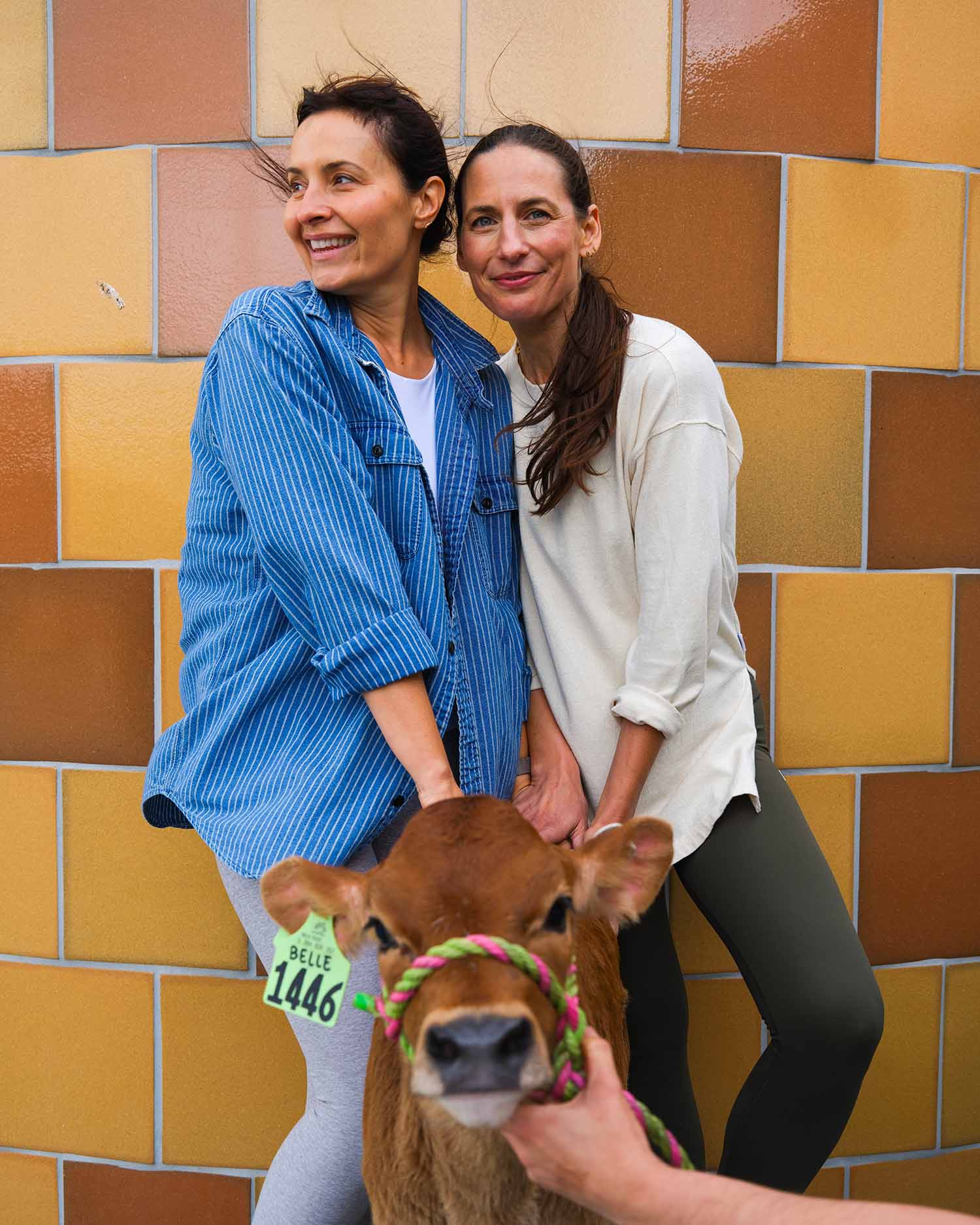 Two Women Holding a Cow at the Farm
